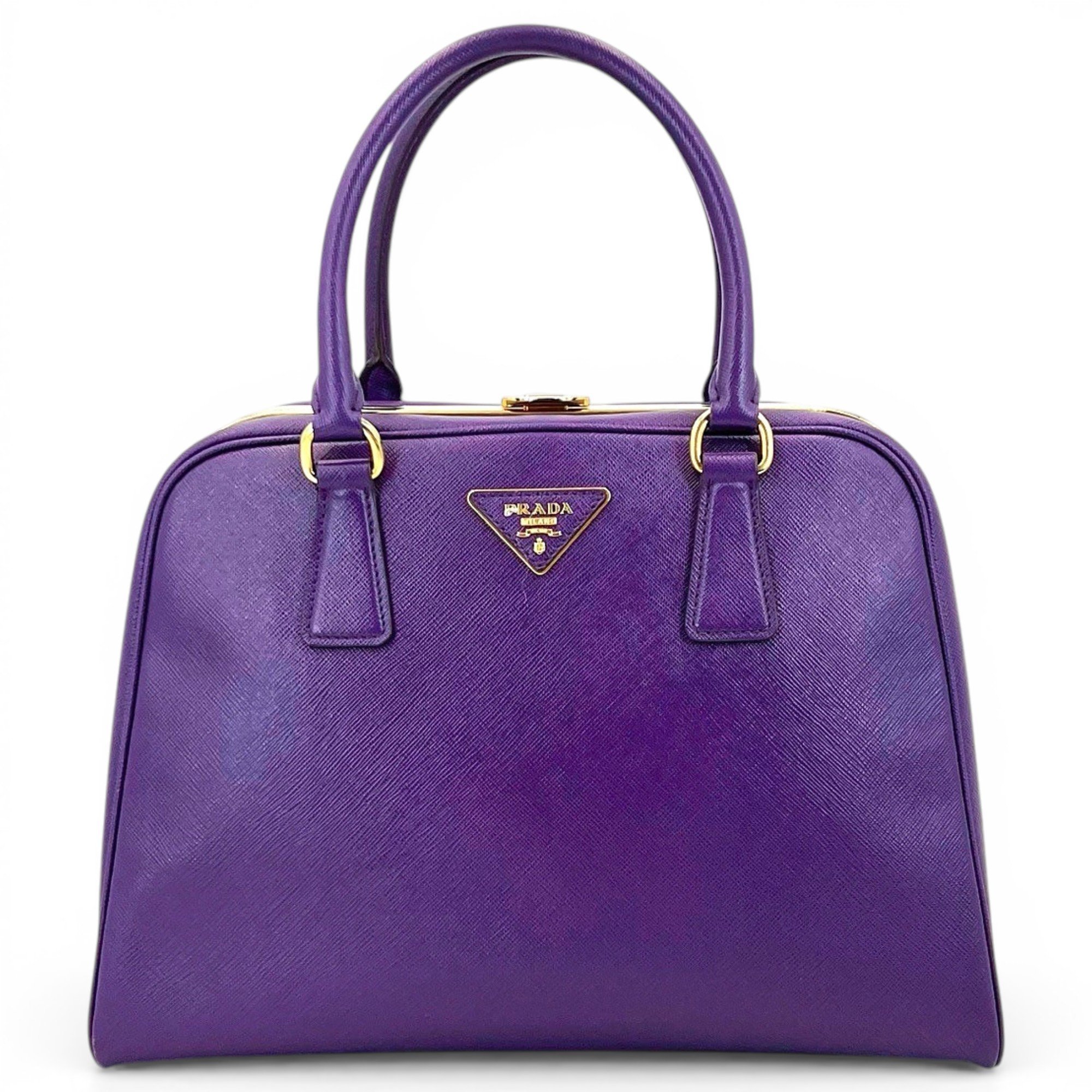Promenade leather handbag