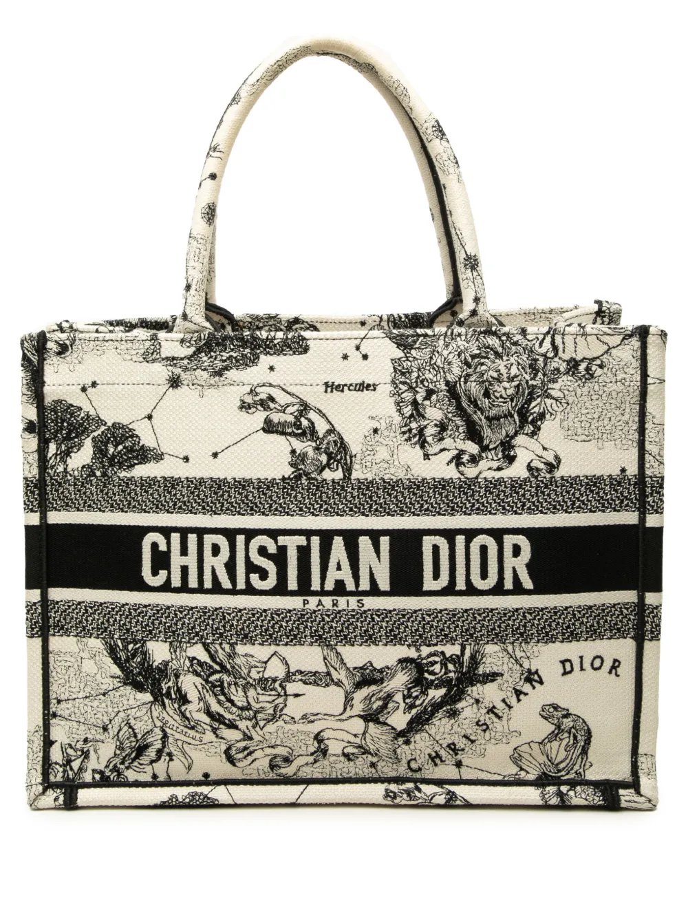 2023 Medium Canvas Embroidered Zodiac Toile De Jouy Book tote bag