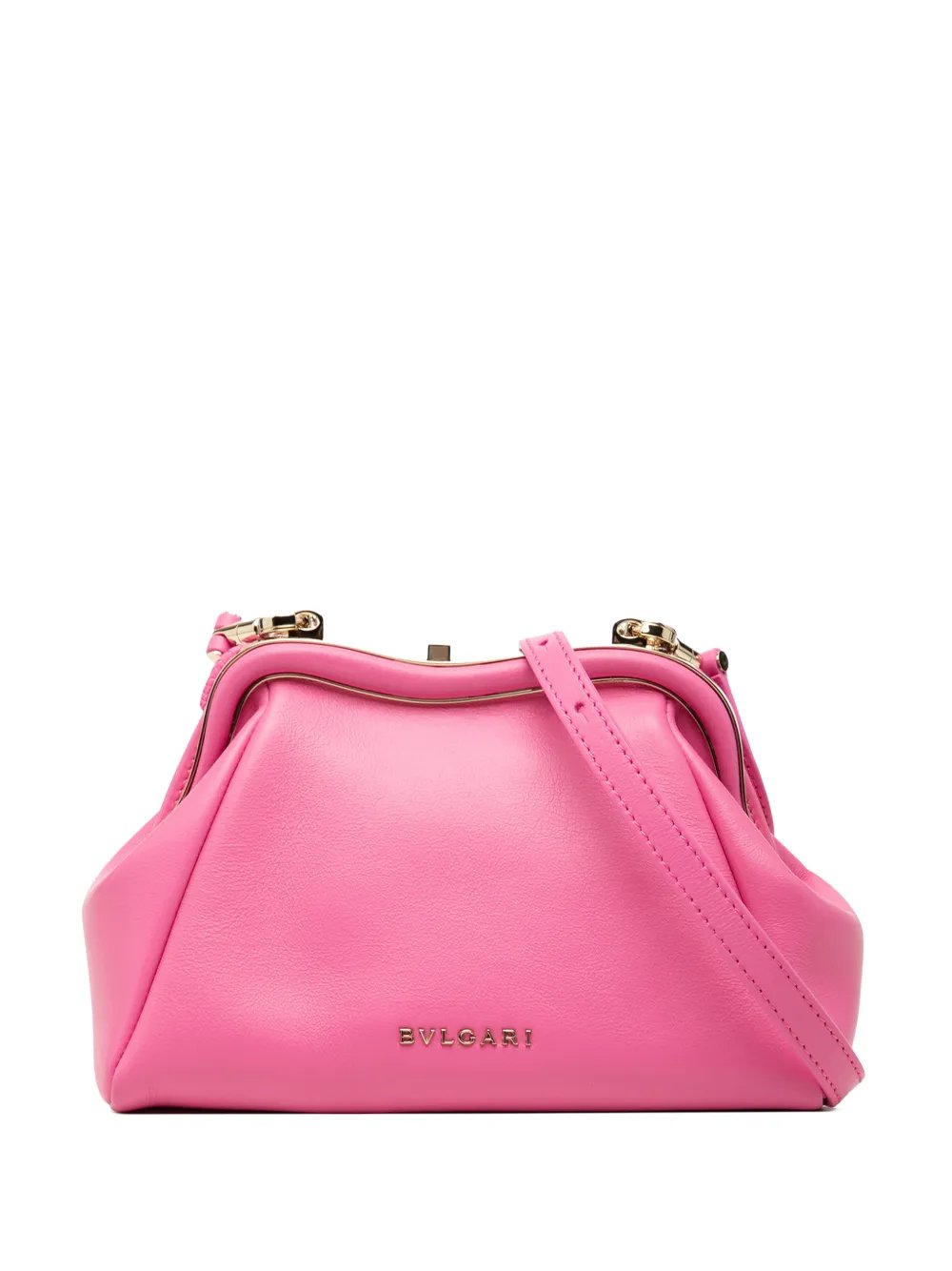 2021-2026 Leather Serpentine Pouch crossbody bag
