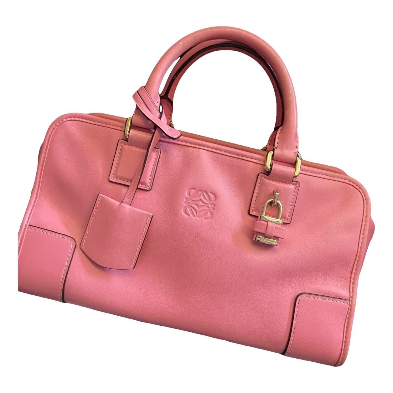Amazona leather handbag