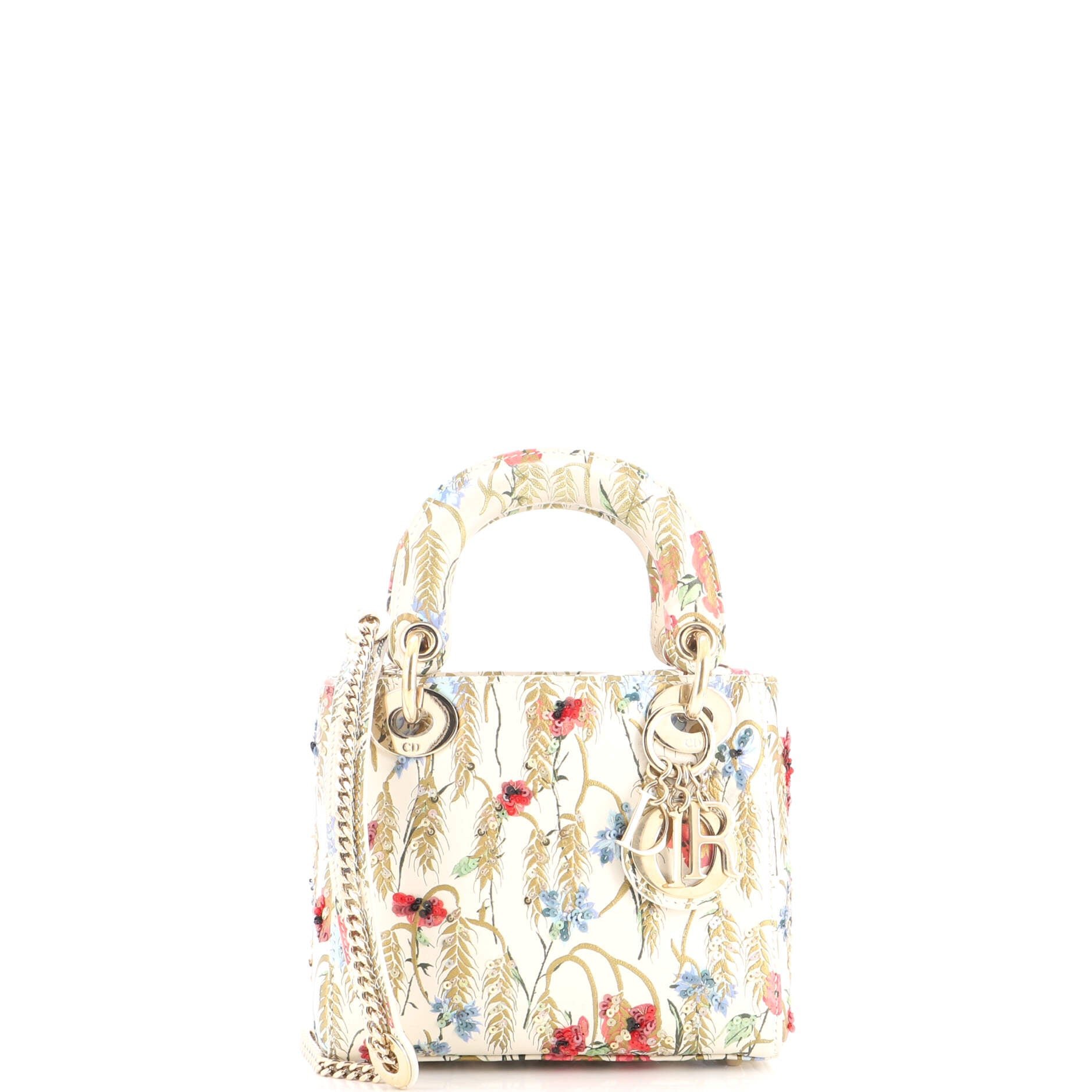 Lady Dior Chain Bag Embroidered Printed Calfskin Mini