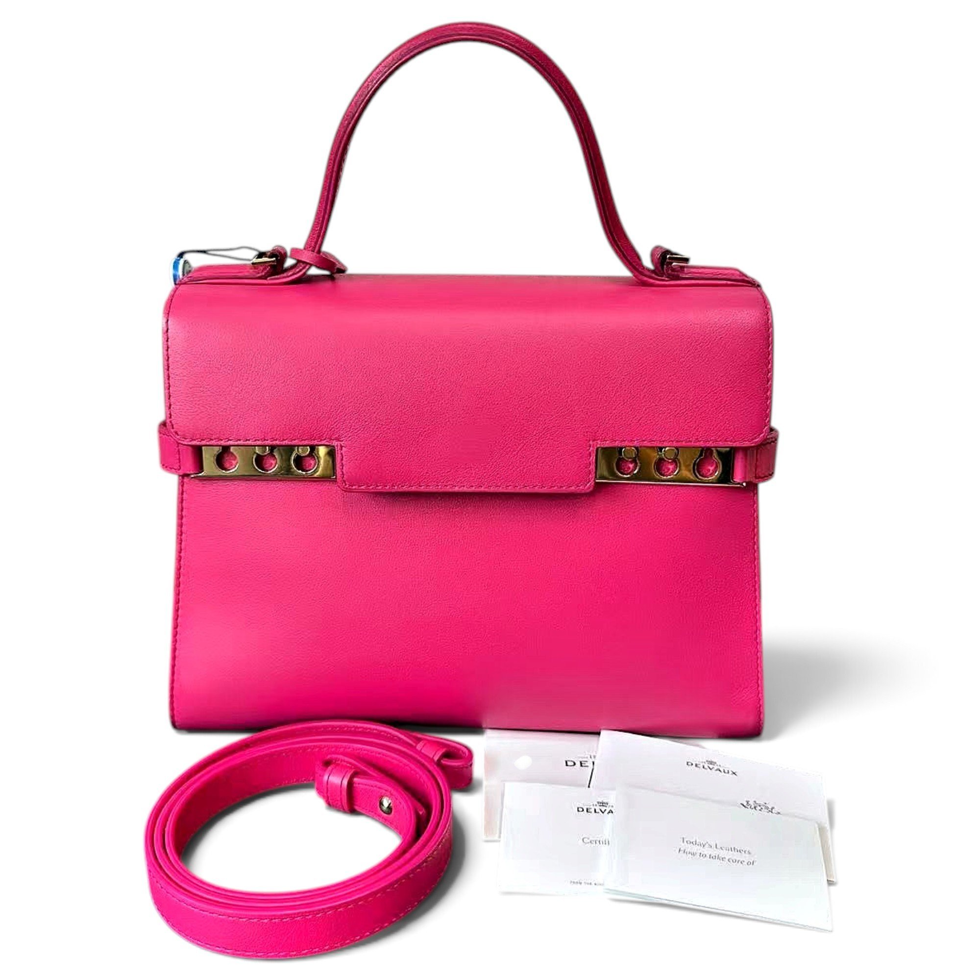 Delvaux Tempête leather handbag