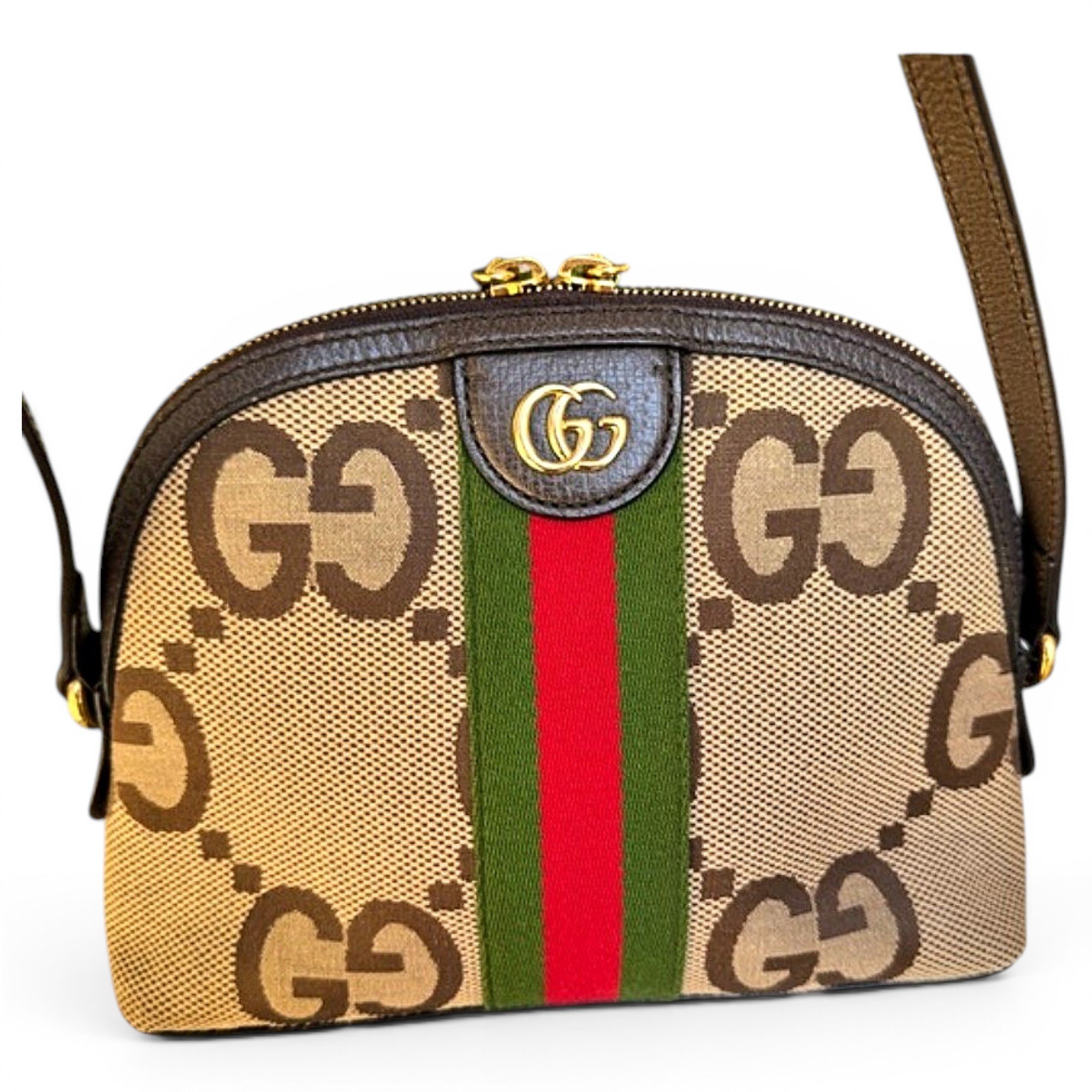 Ophidia Dome leather crossbody bag