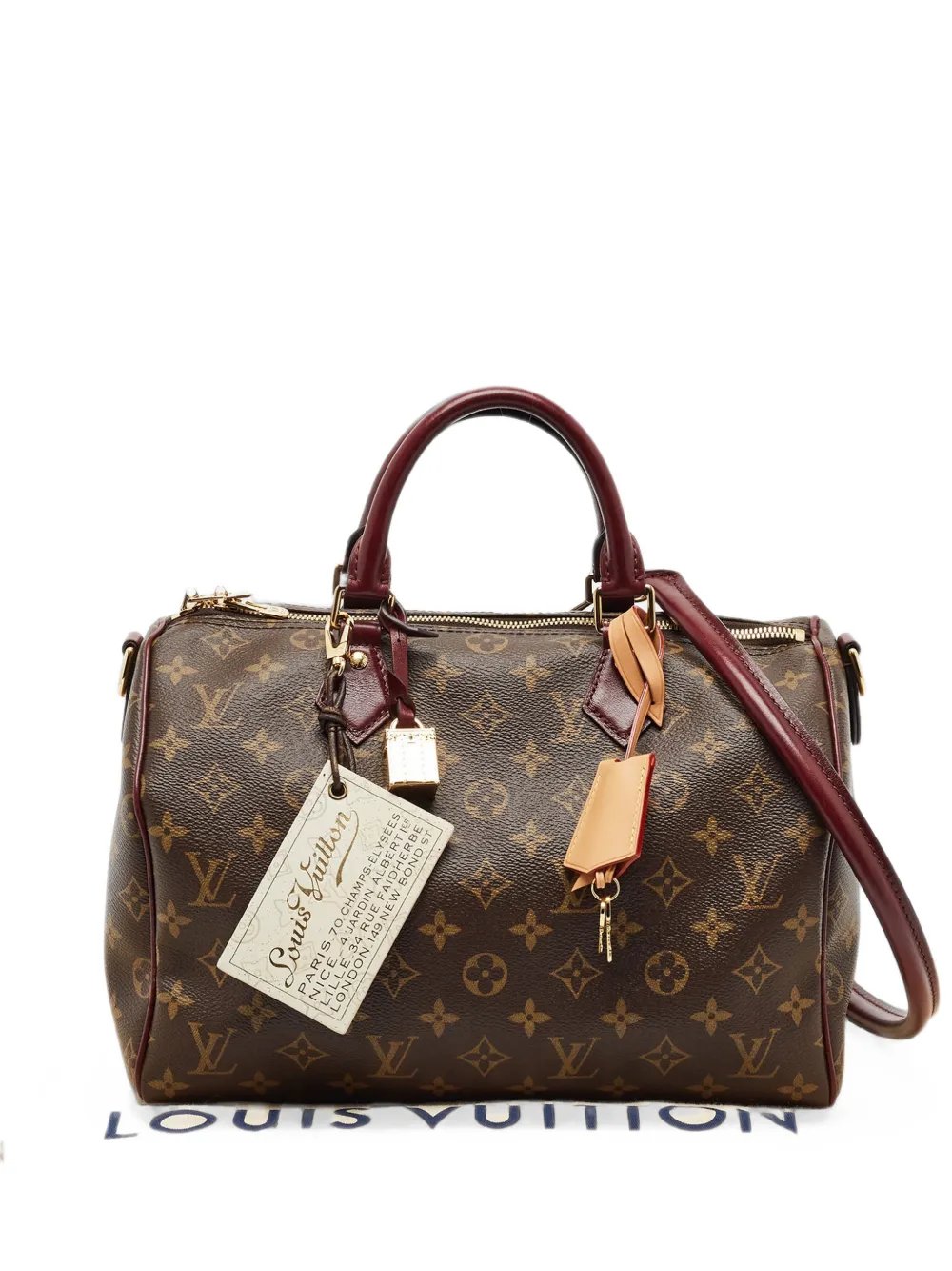 Louis Vuitton Speedy 30 Soft Celebration Monogram-canvas handbag