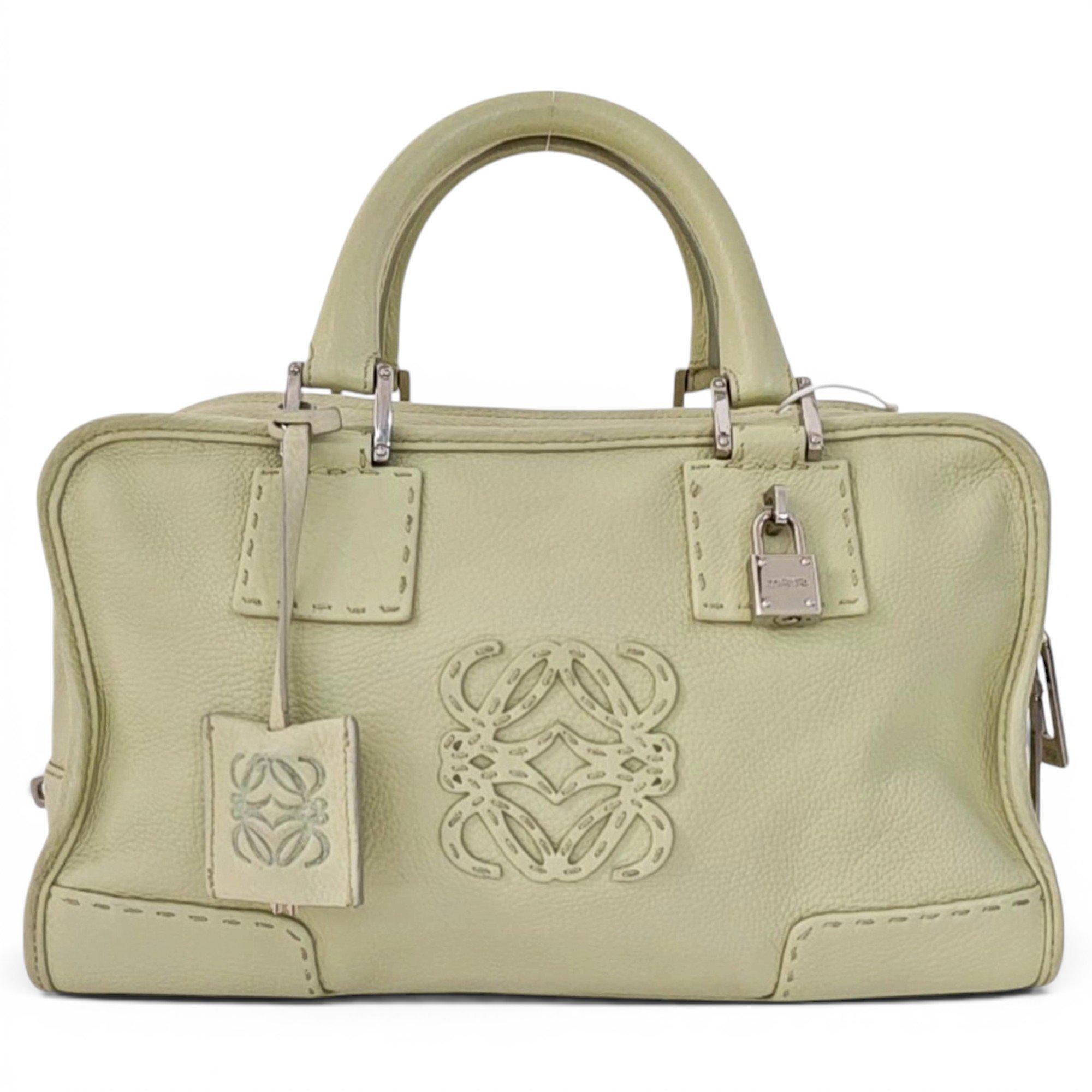 Amazona leather handbag