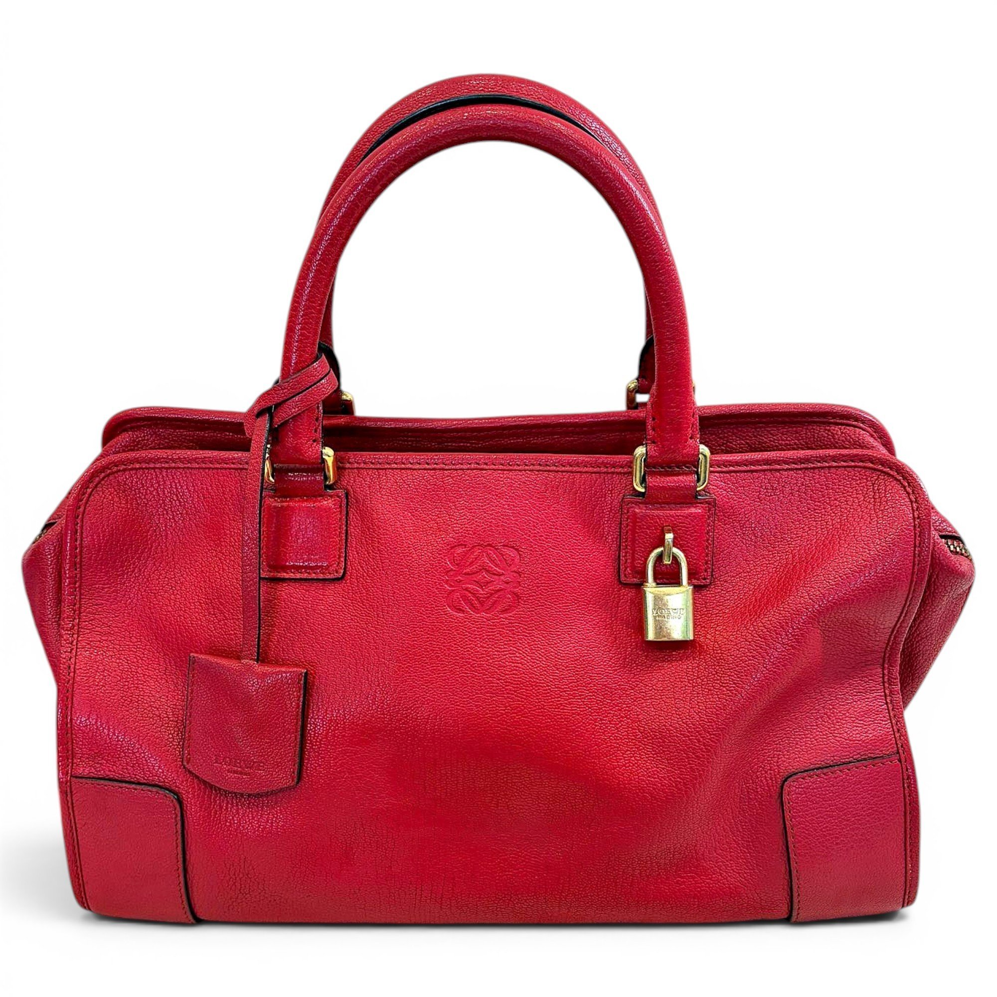 Amazona leather handbag