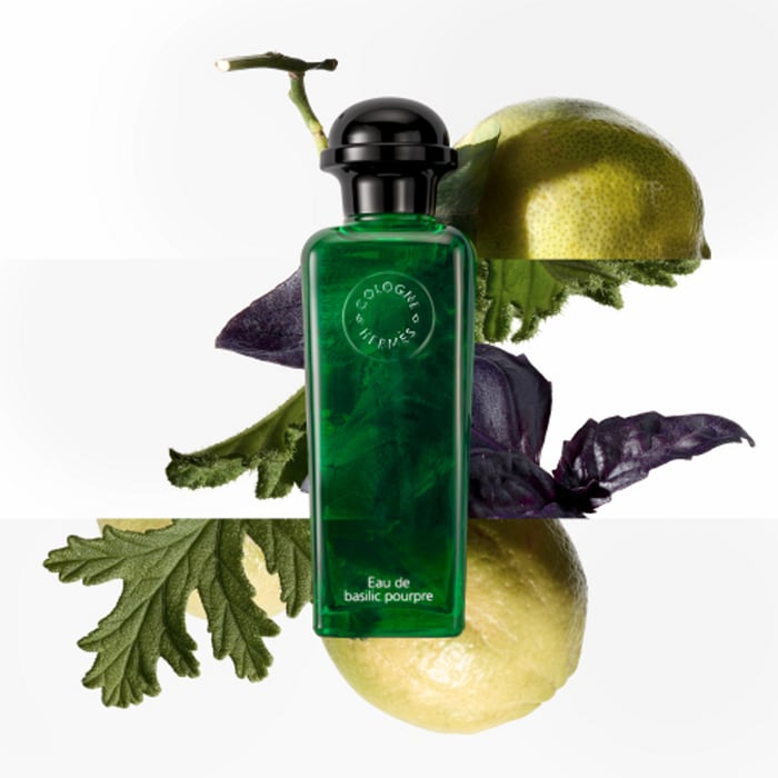 Sans Coloris Eau De Basilic Pourpre Eau De Cologne