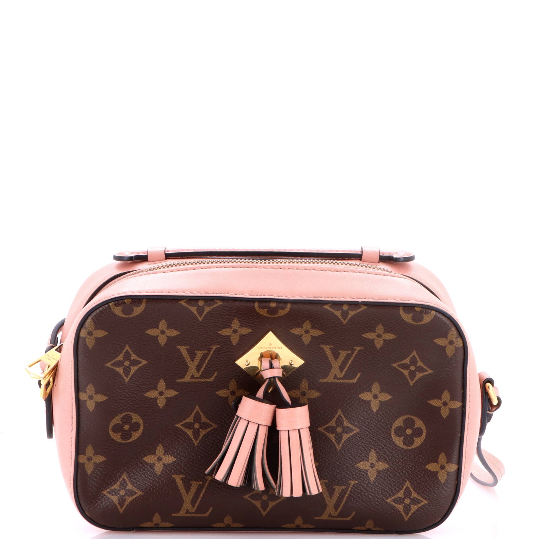 Saintonge Handbag Monogram Canvas with Leather