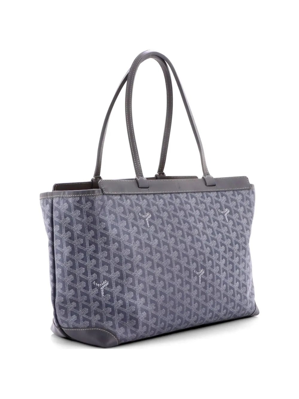 Bellechasse Bag Coated Canvas PM tote bag