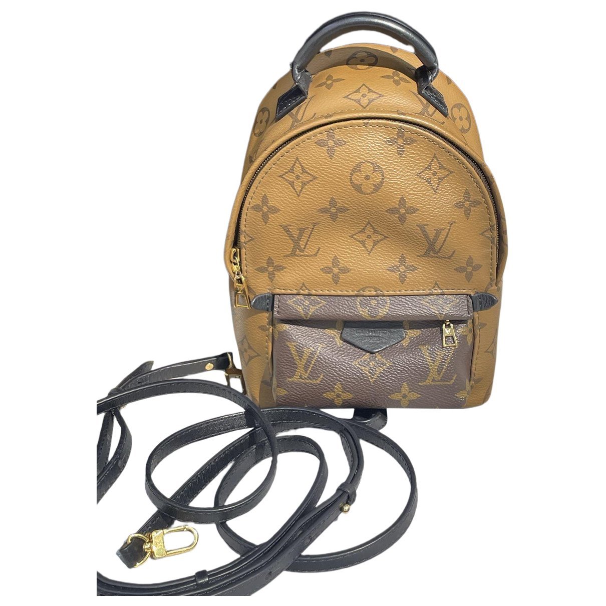 Palm Springs backpack