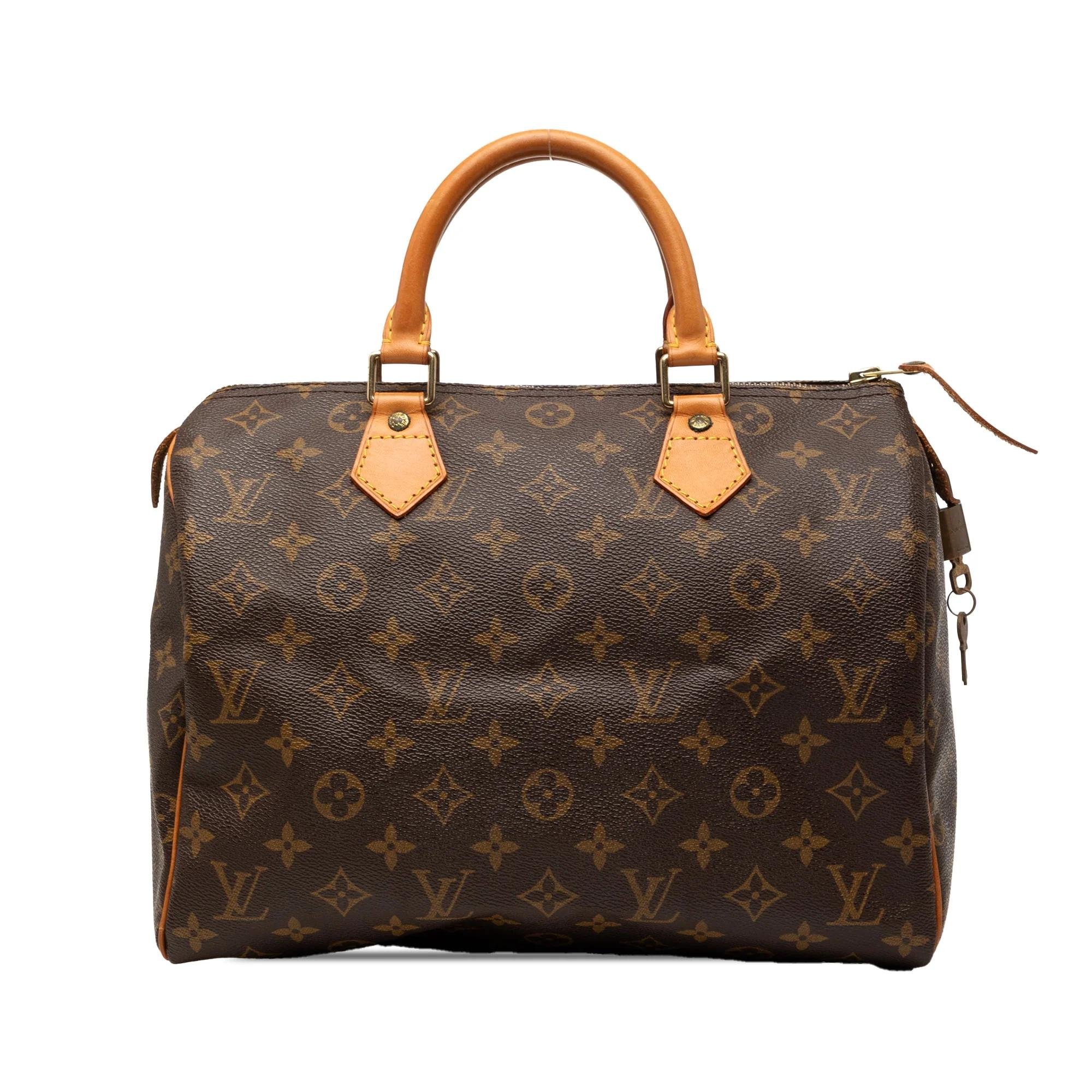 Speedy leather bag