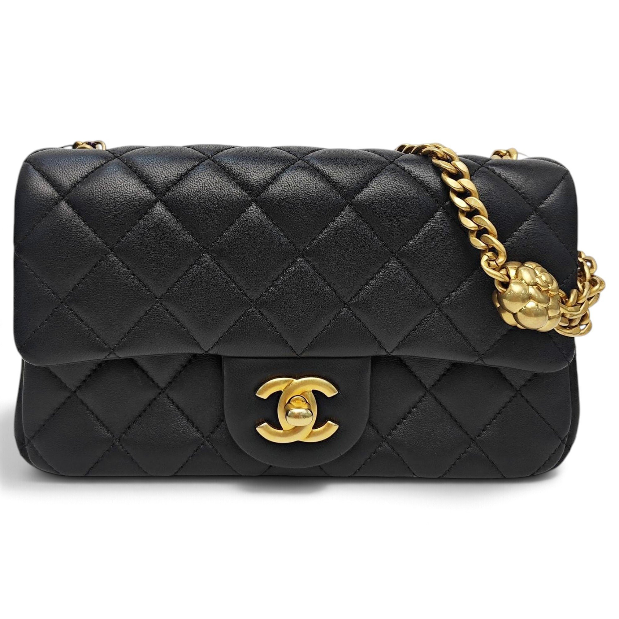 Timeless/Classique leather mini bag