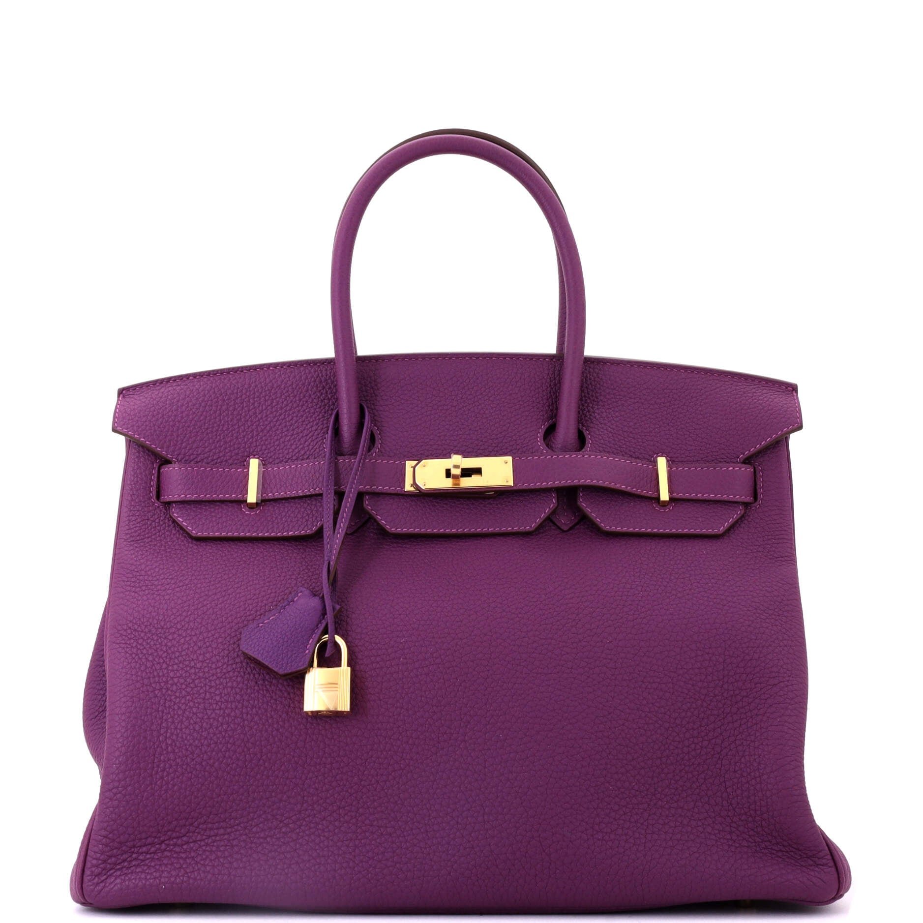 Hermes Birkin Handbag Anemone Togo with Gold Hardware 35
