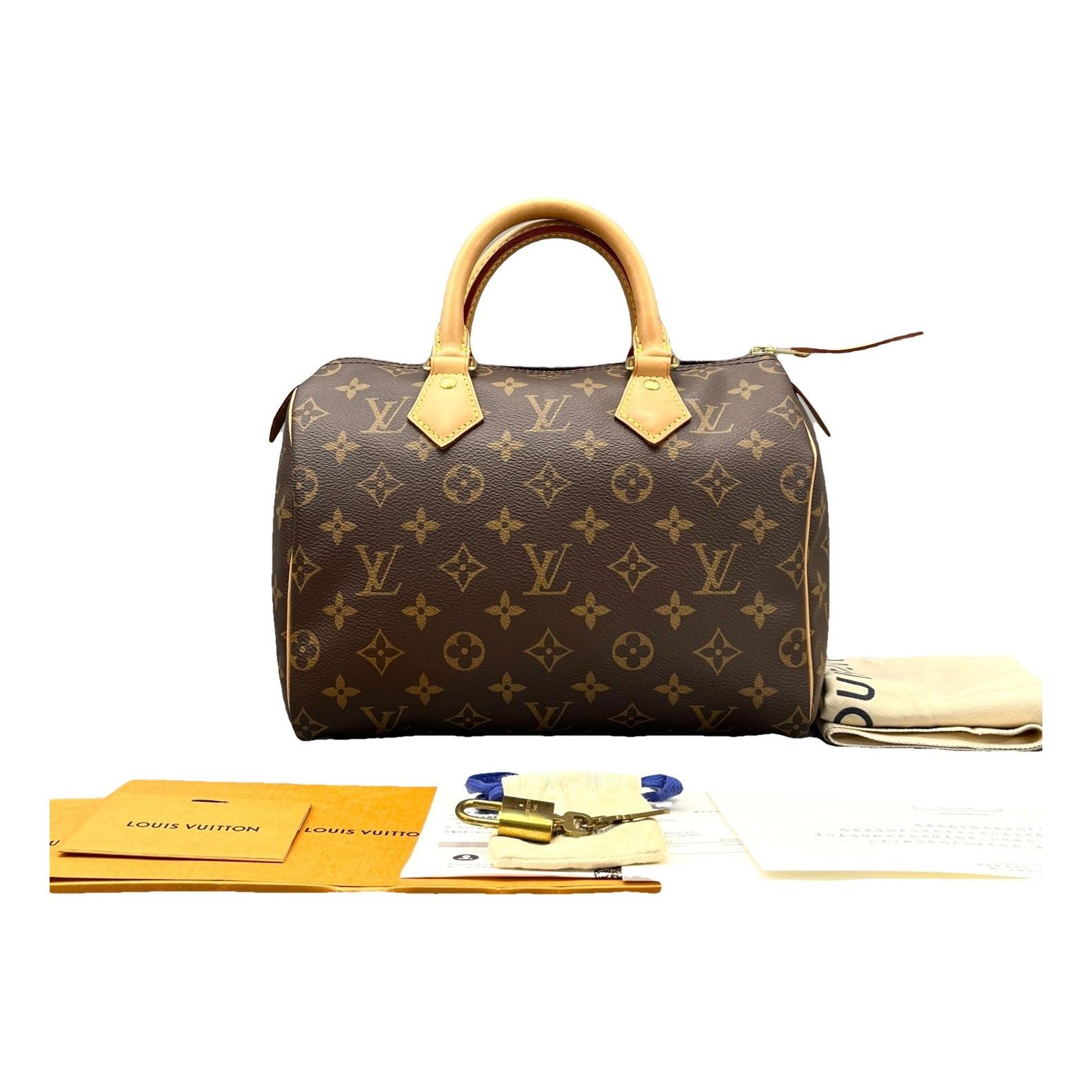 Speedy leather handbag