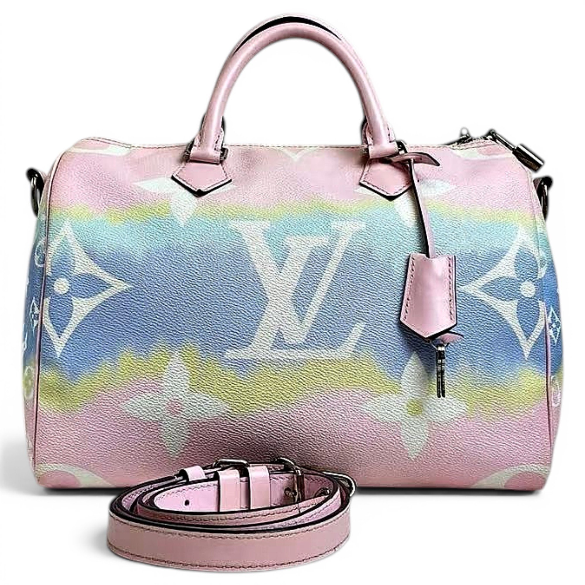 Speedy leather handbag