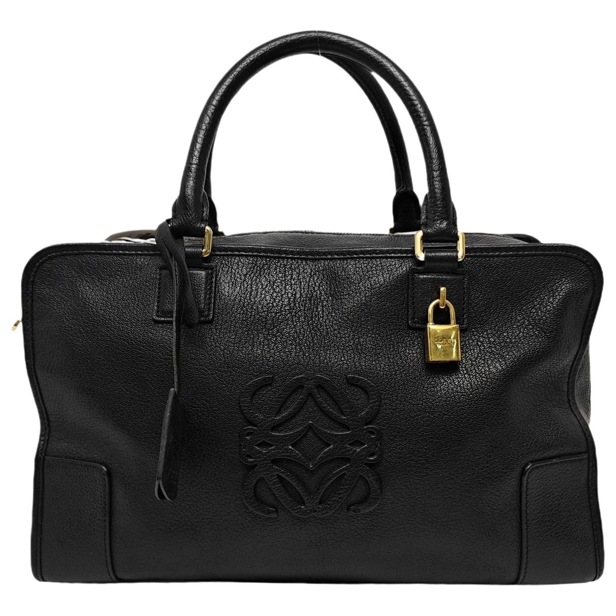 Amazona leather handbag
