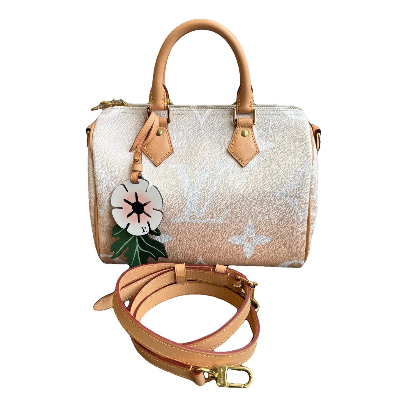 Louis Vuitton Nano Speedy / Mini HL vinyl crossbody bag