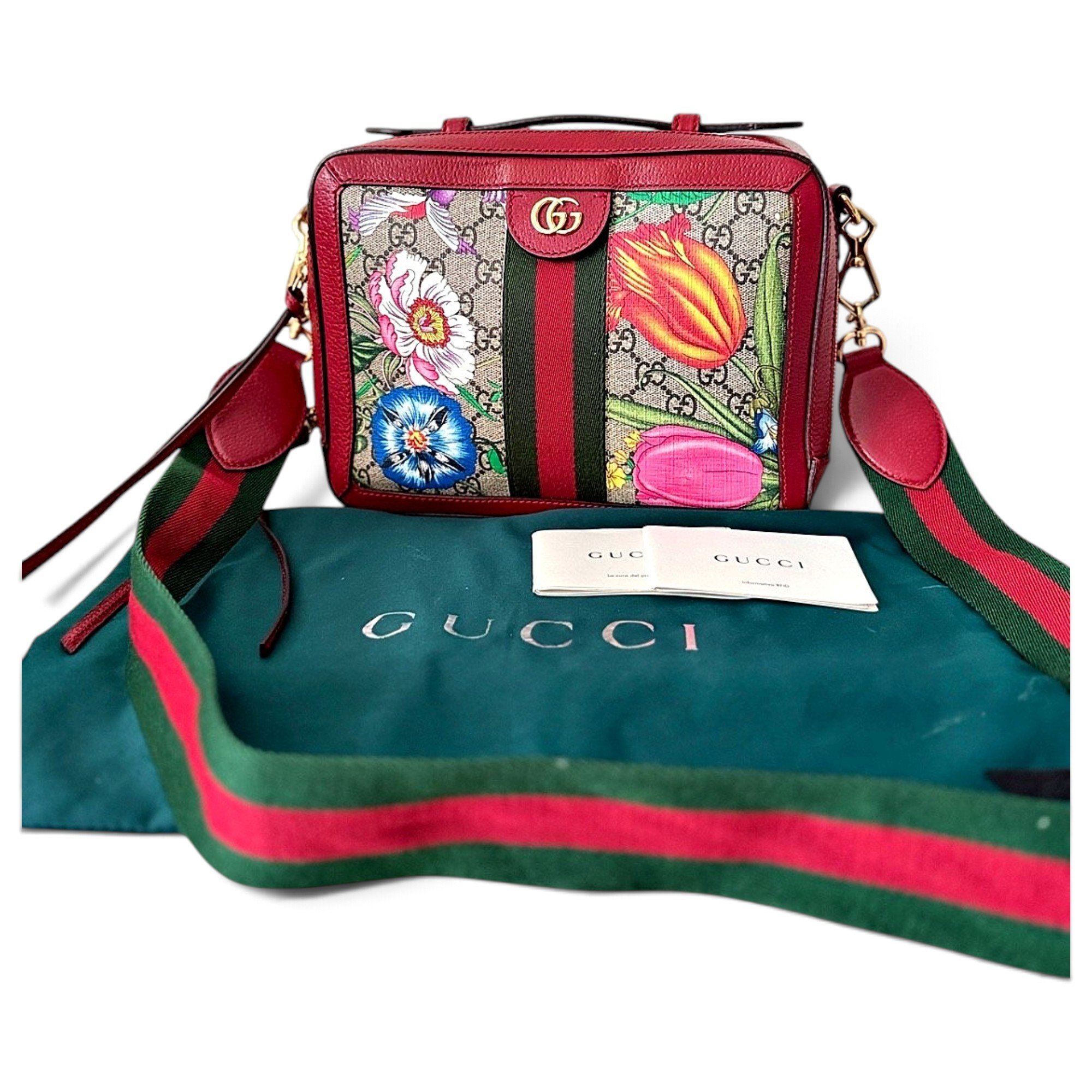 Gucci Ophidia leather handbag