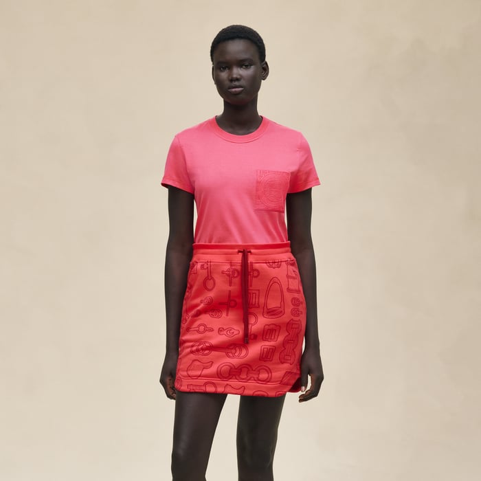 Rose Pivoine "Cahier Du Colporteur" Miniskirt