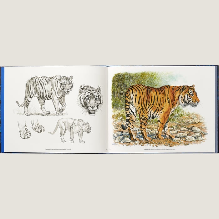 Neutre "Ferocious and Fragile" Book, English Version