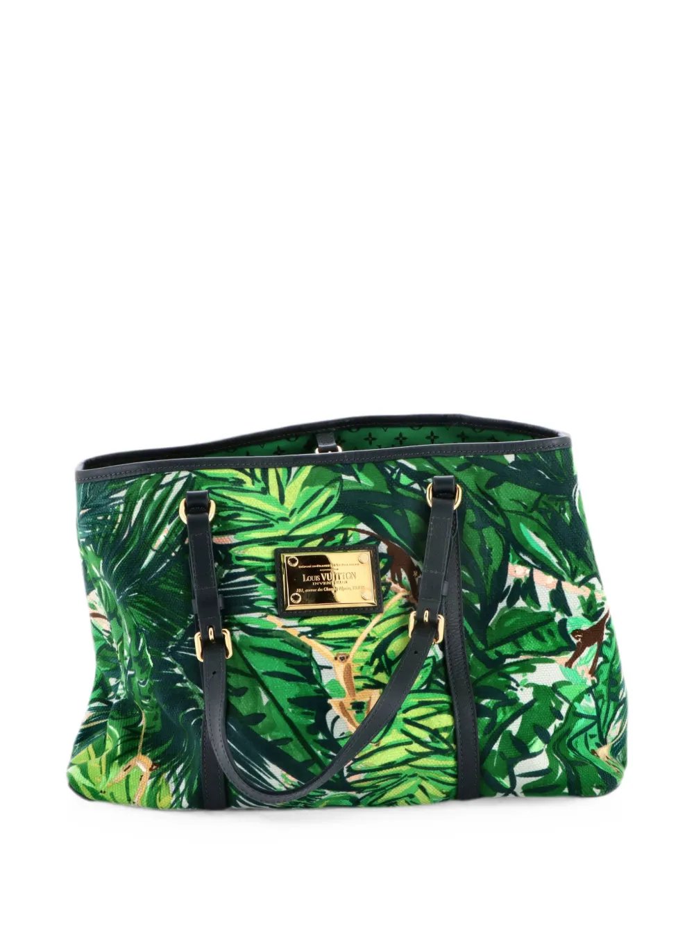 Ailleurs Cabas Limited Edition Printed Canvas PM tote bag