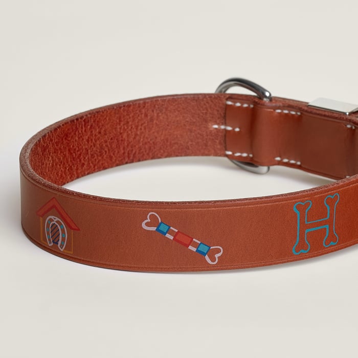 Dark Irish Polisson Dog Collar