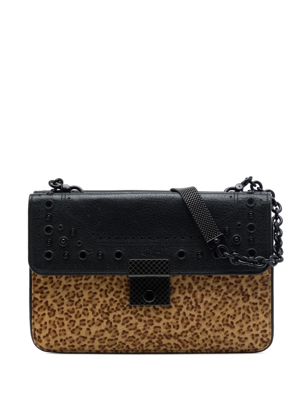2012-2026 Leopard Printed Pony Hair Glass shoulder bag