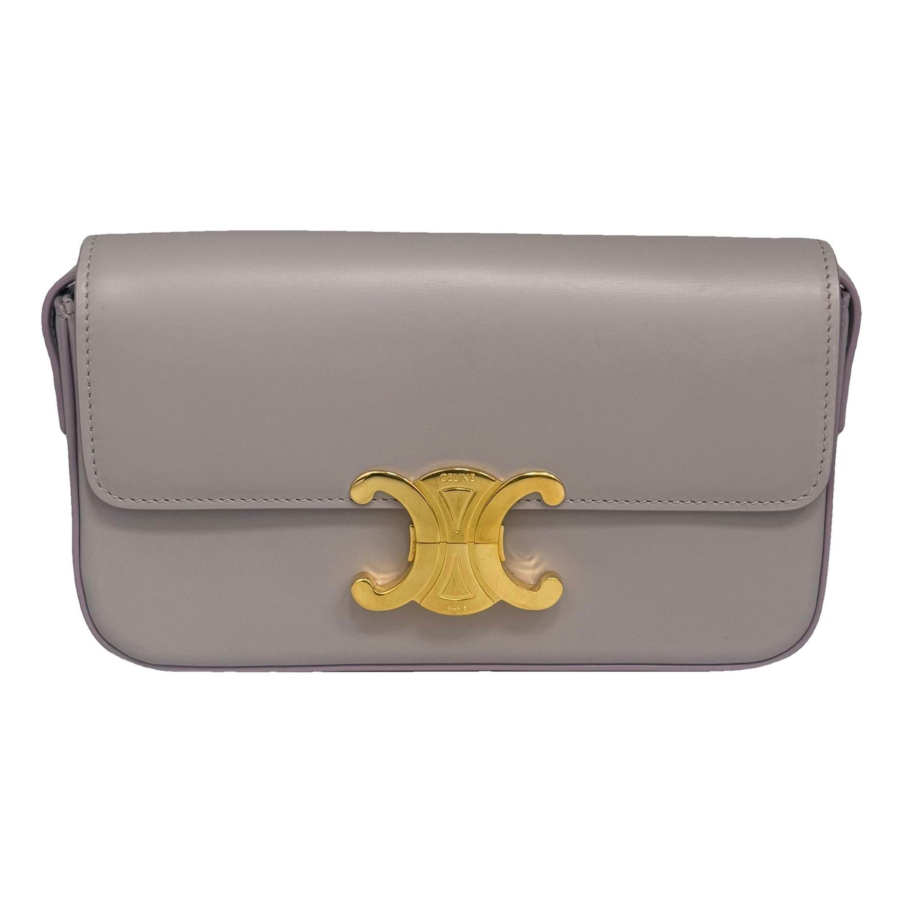 Triomphe Long leather handbag