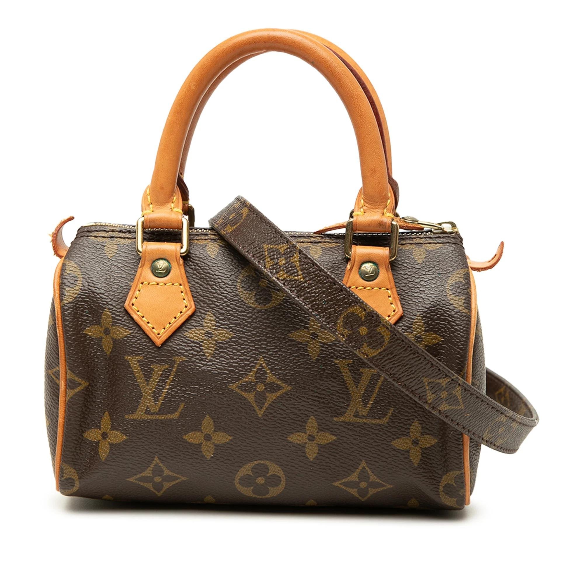 Louis Vuitton Speedy leather satchel