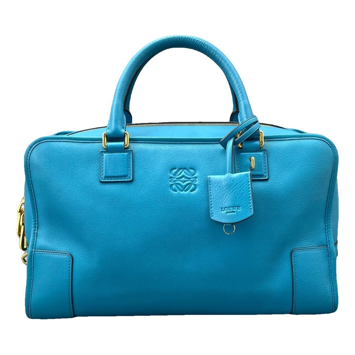 Amazona leather handbag