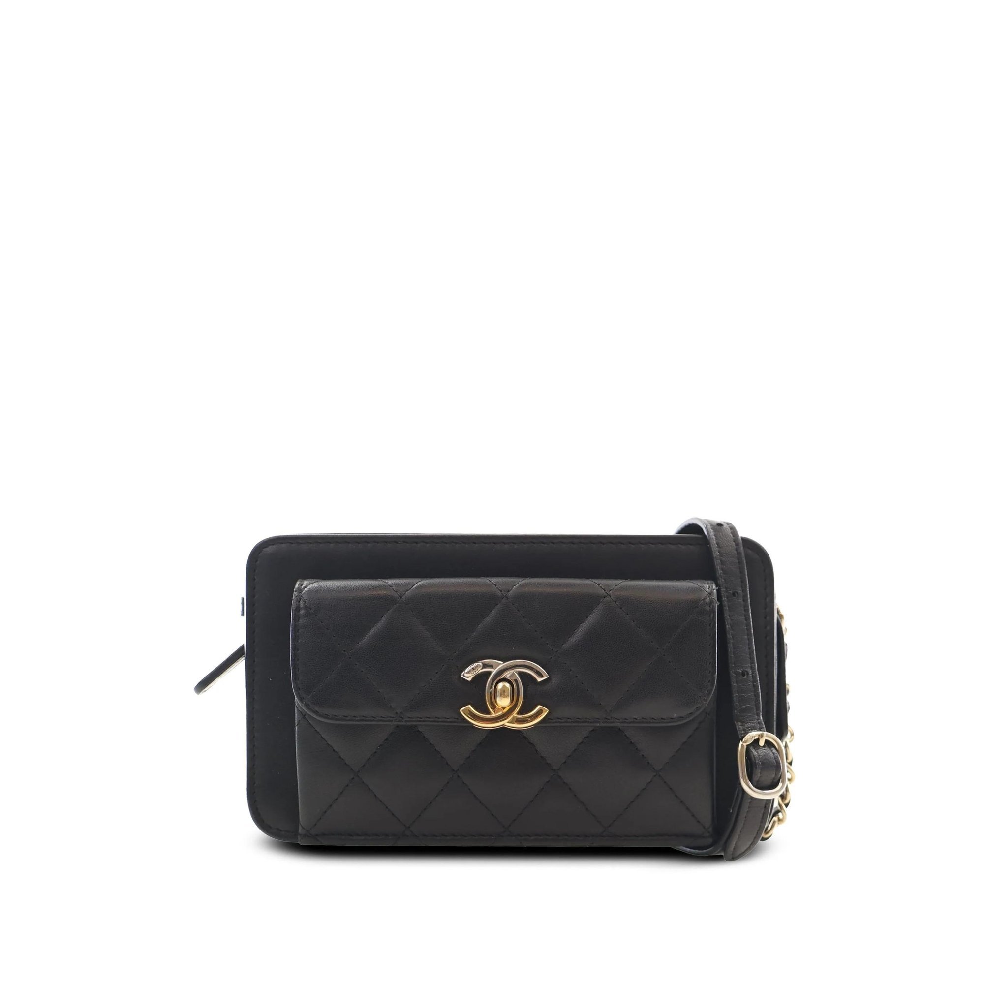 Timeless/Classique leather handbag