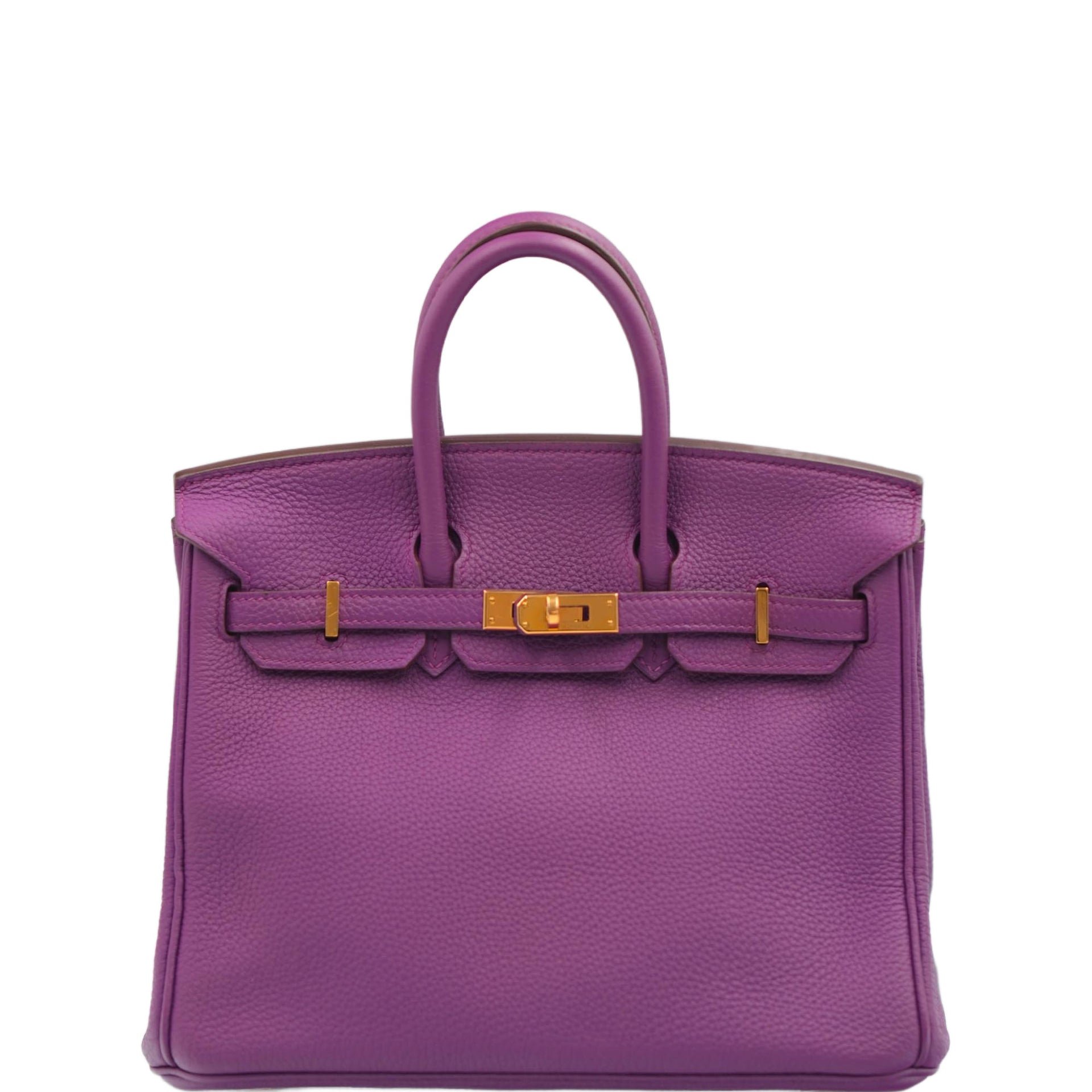 Hermes Hermès Birkin 25 Anemone Togo with Gold Hardware