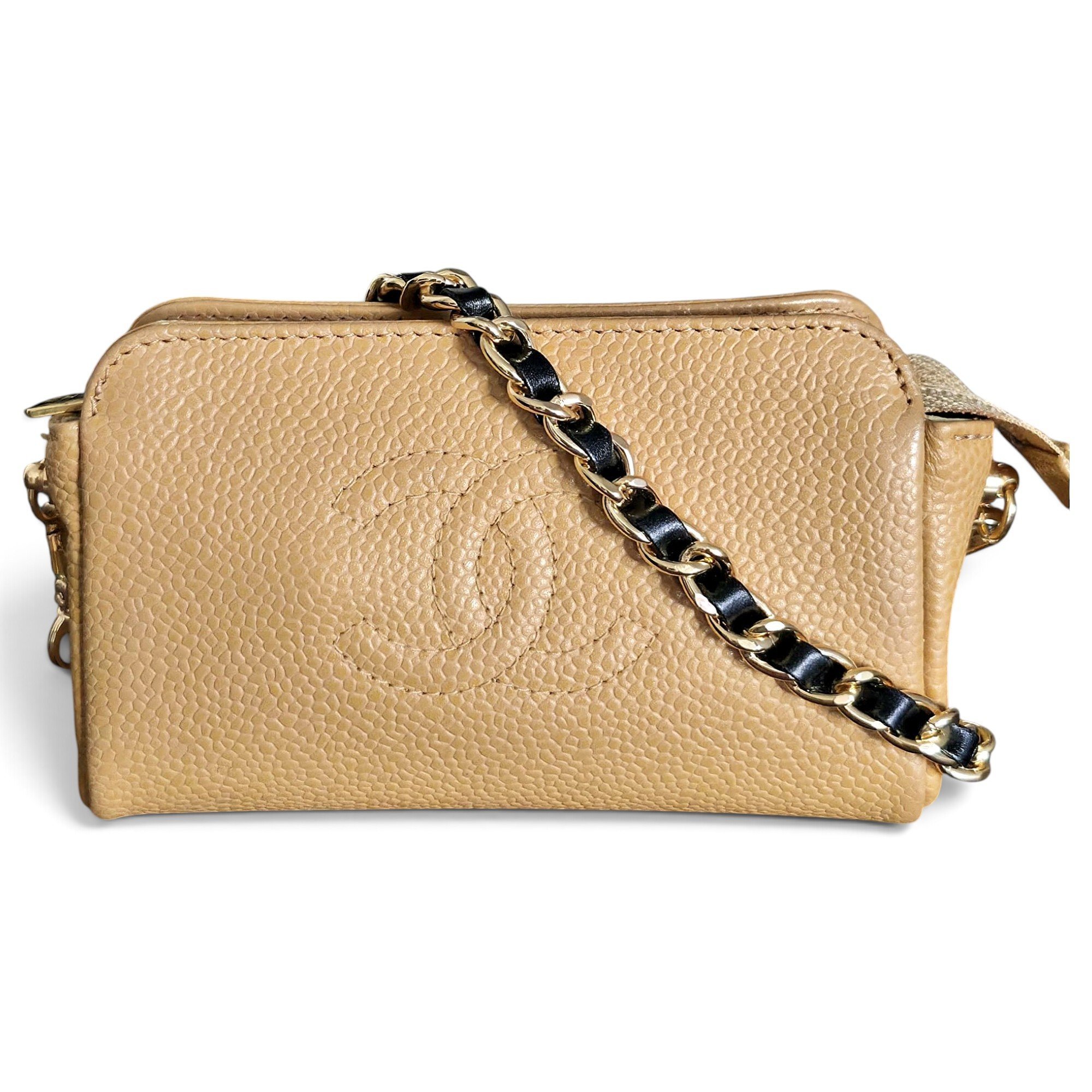 Timeless/Classique leather bag