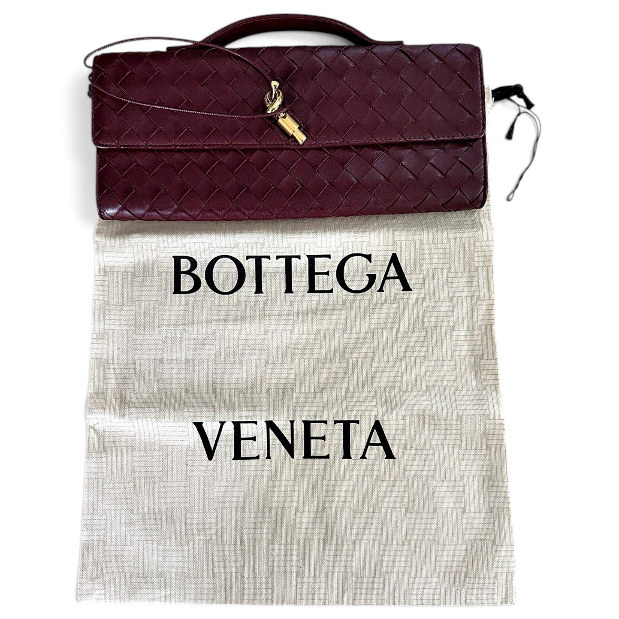 Andiamo leather clutch bag
