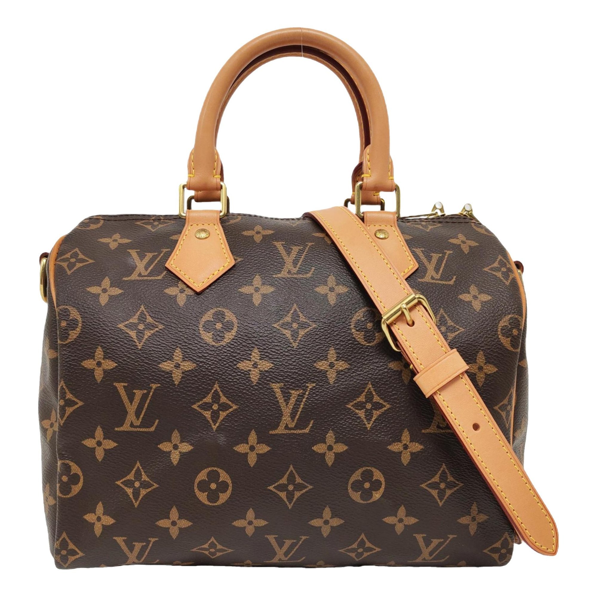 Louis Vuitton Nano Speedy / Mini HL leather handbag