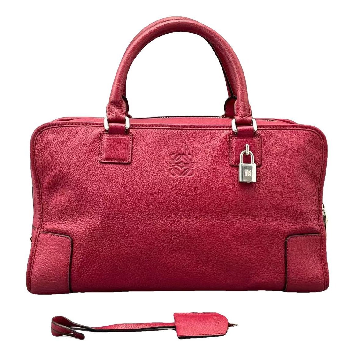 Amazona leather handbag