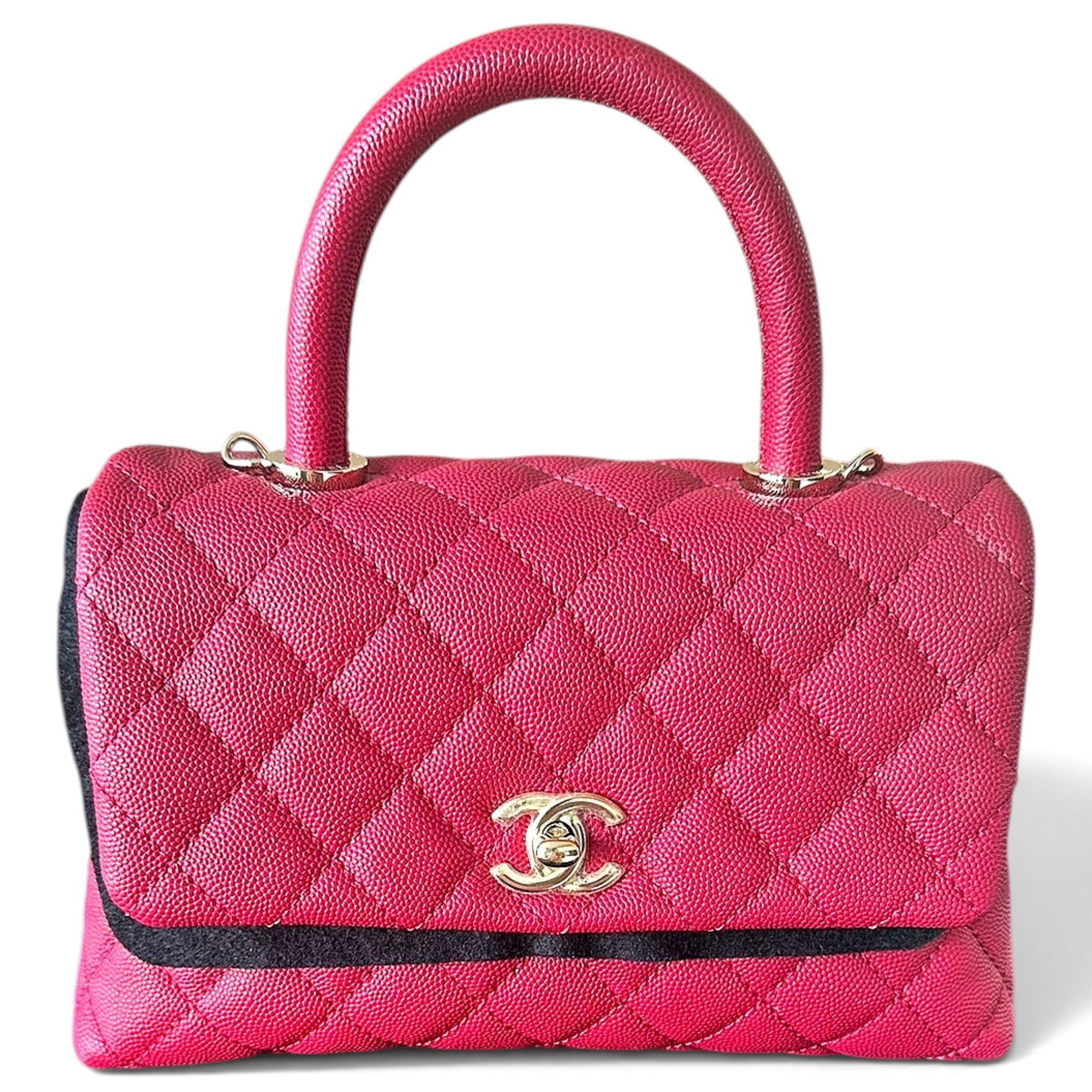 Coco Handle leather bag