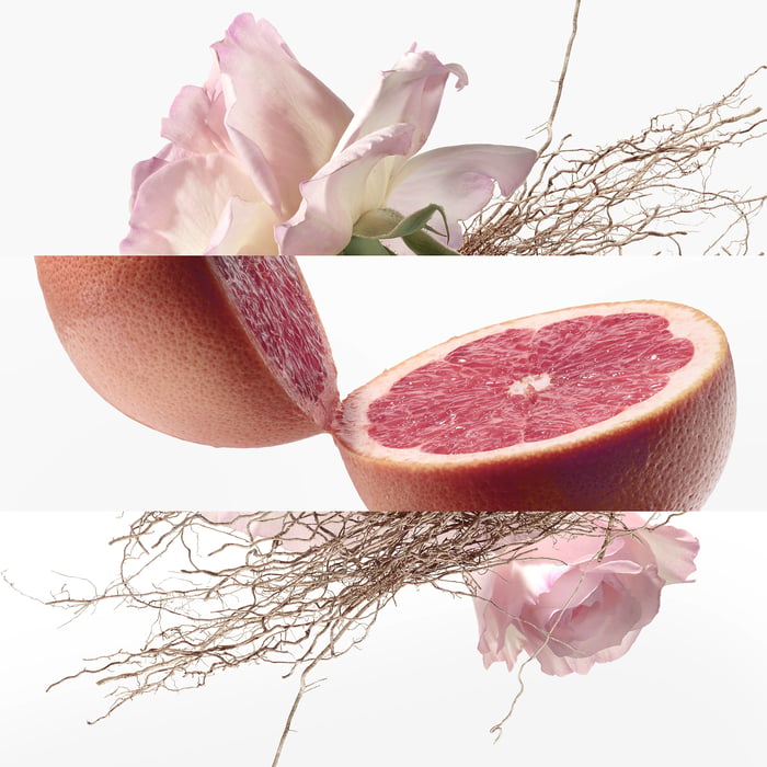 Sans Coloris Concentre De Pamplemousse Rose Eau De Toilette