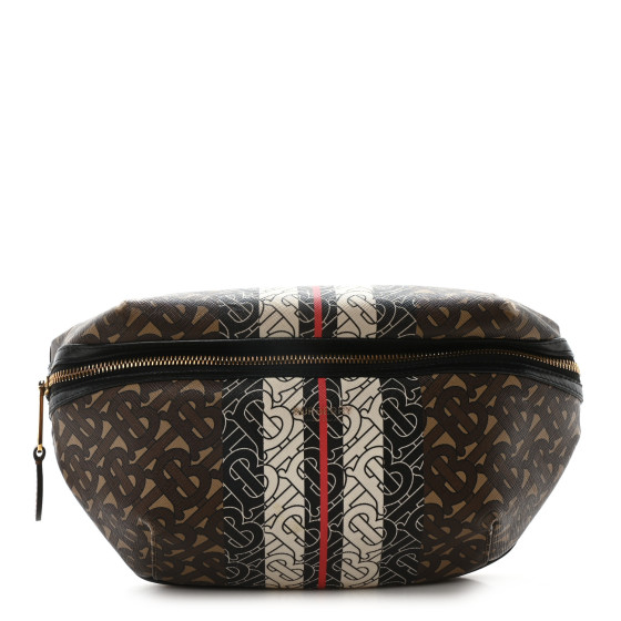 Burberry E-Canvas Monogram Stripe Medium Sonny Bum Bag Bridle Brown