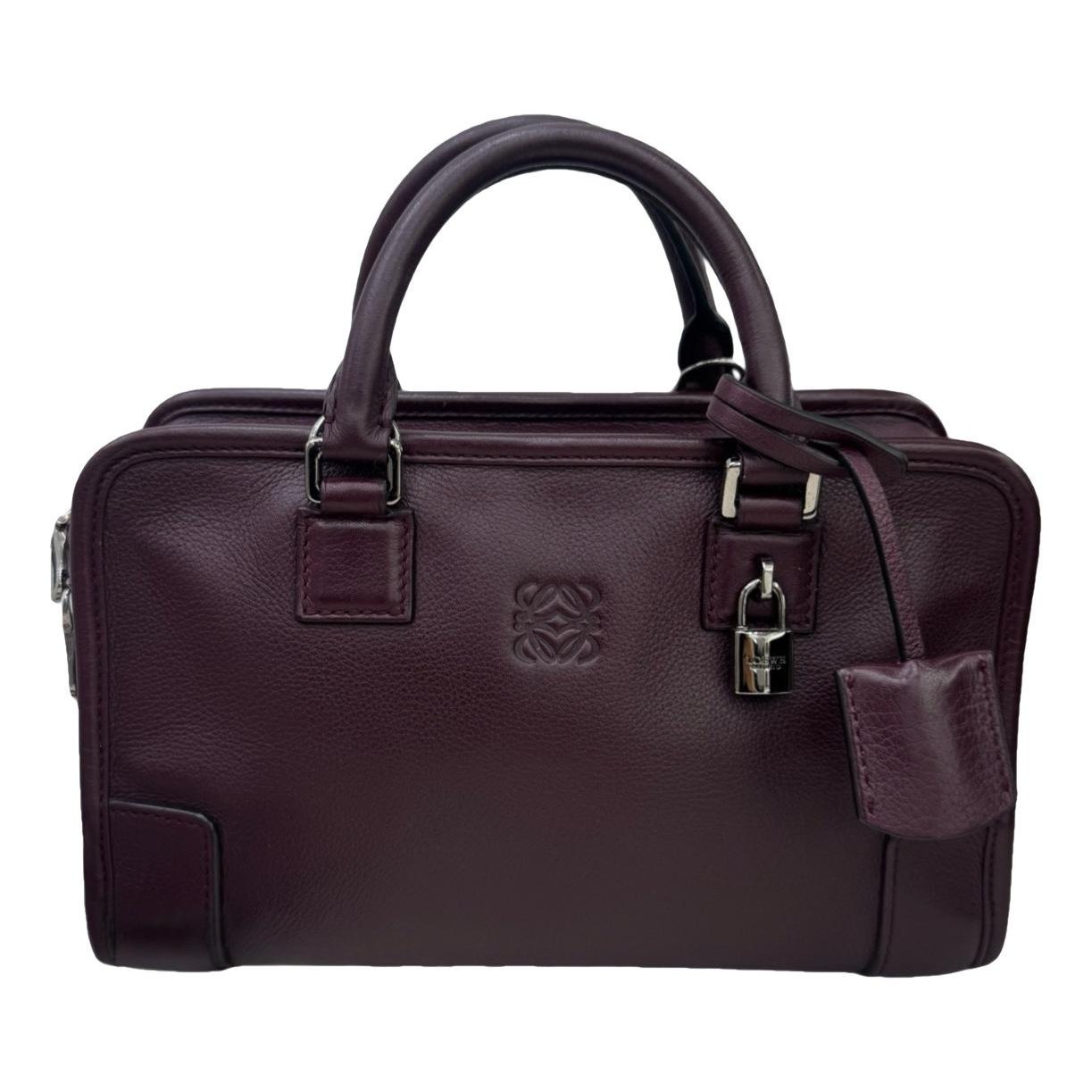 Amazona leather handbag
