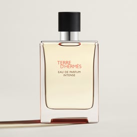 Terre D'hermès Eau De Parfum Intense