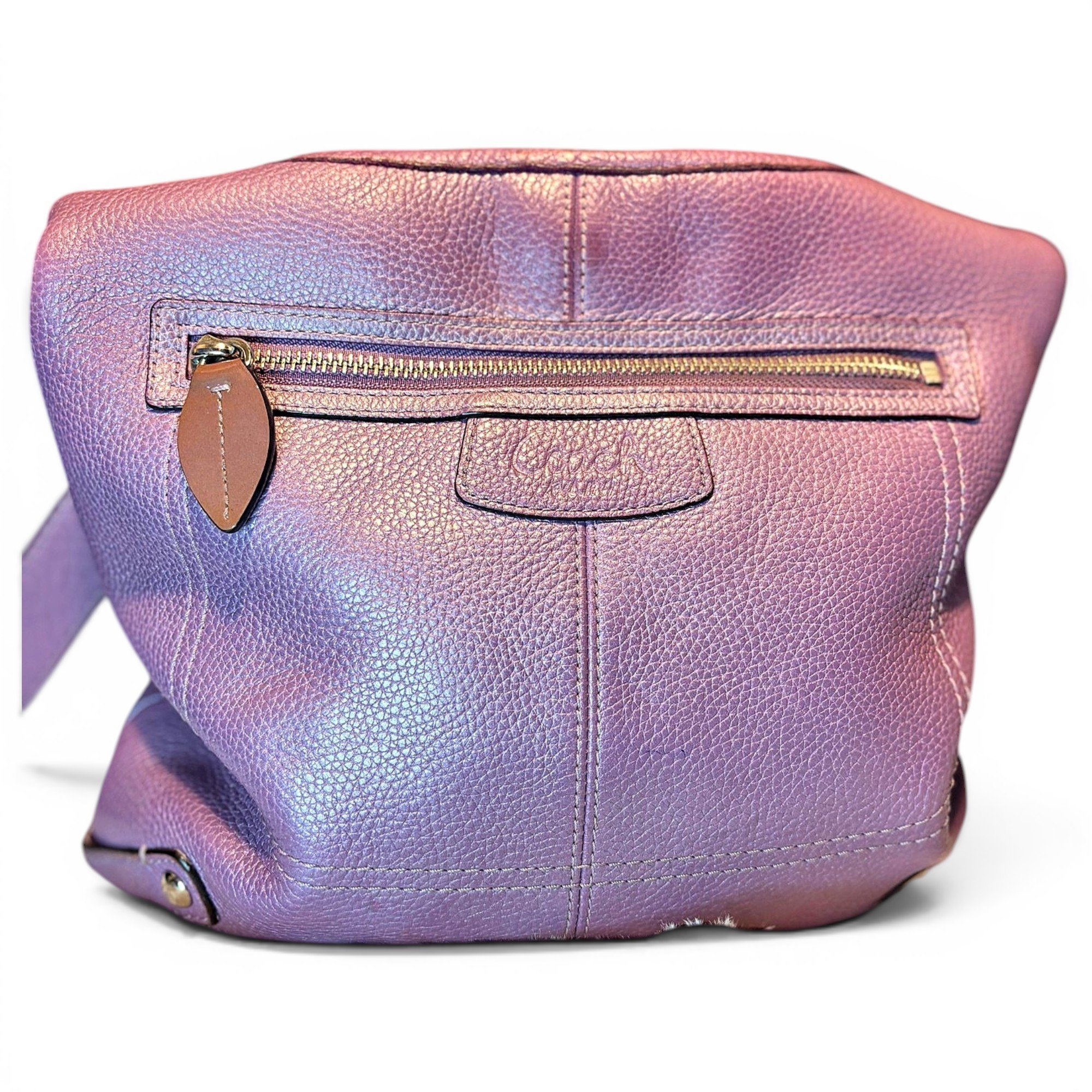Hamilton Hobo leather handbag