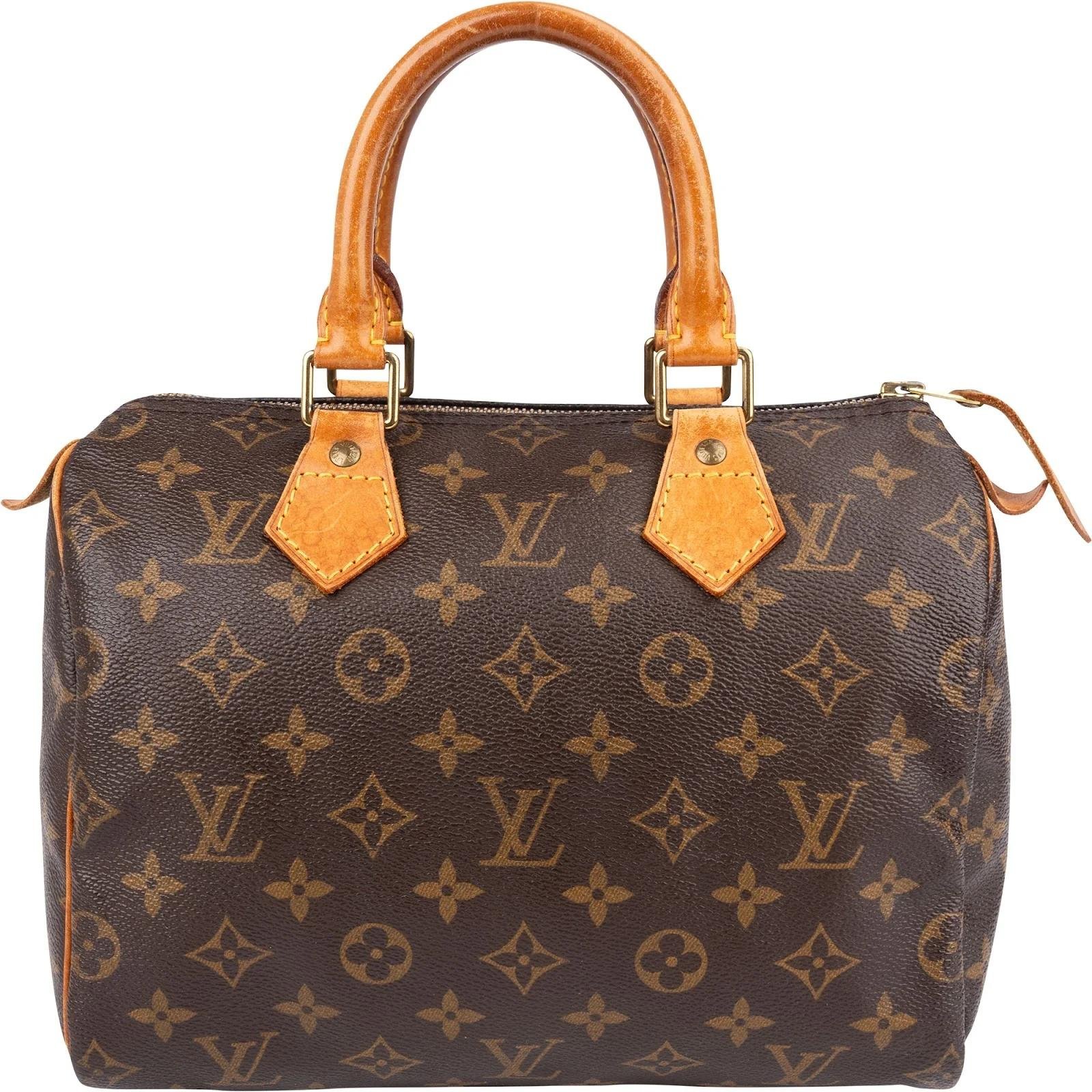 Speedy leather handbag