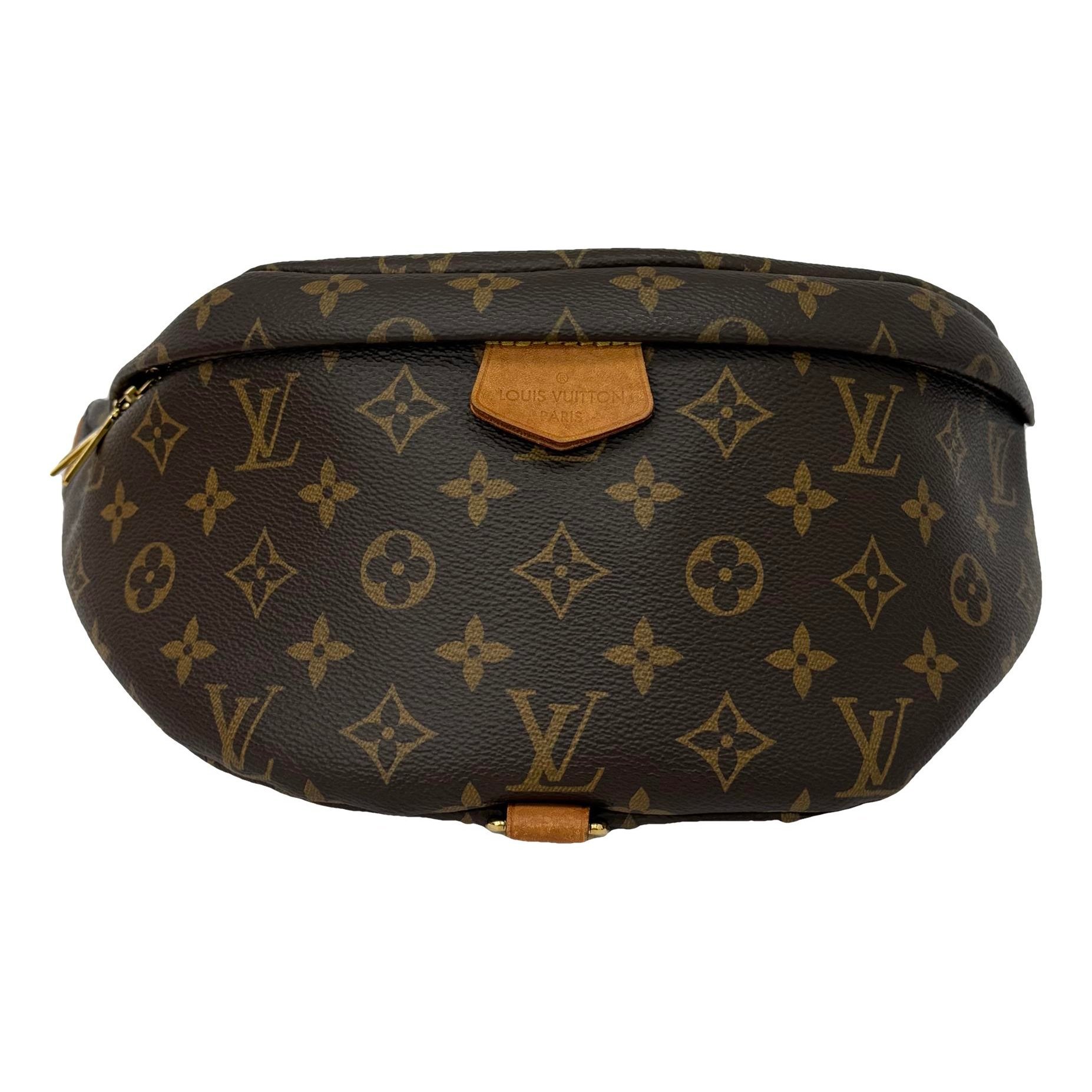 Bum Bag / Sac Ceinture leather handbag