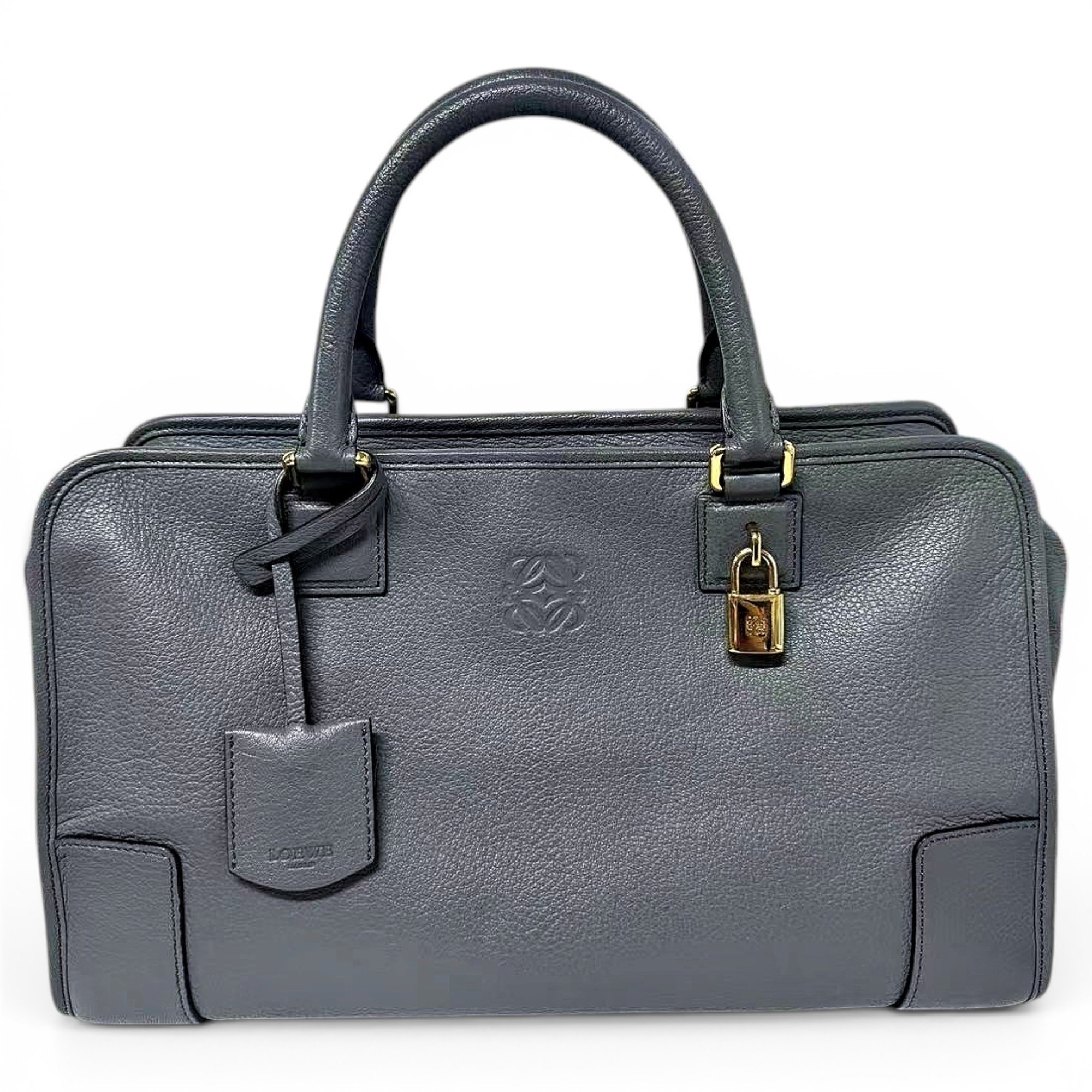 Amazona leather handbag