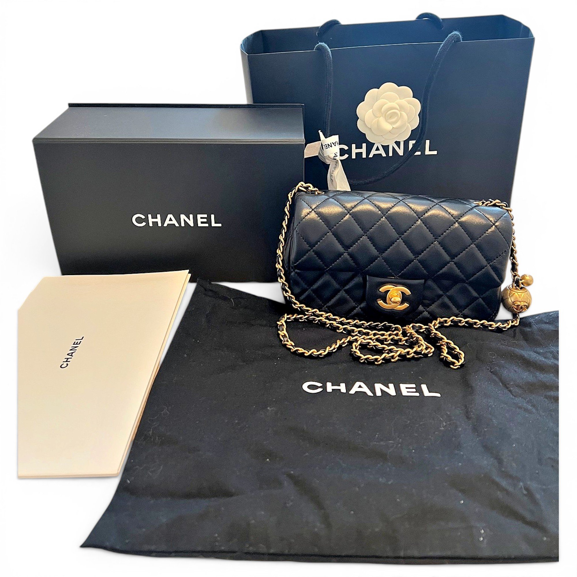 Wallet On Chain Timeless/Classique leather crossbody bag