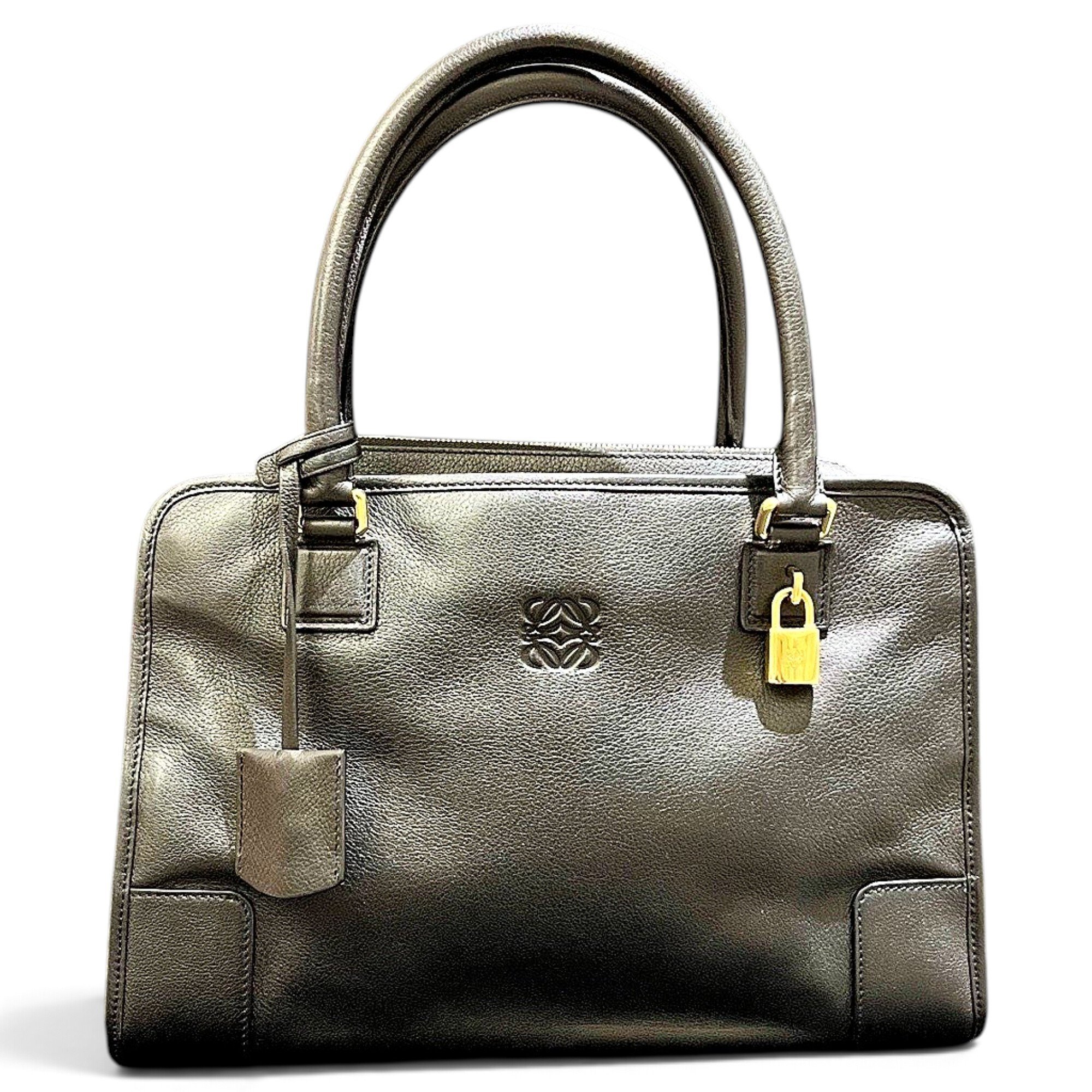 Amazona leather handbag
