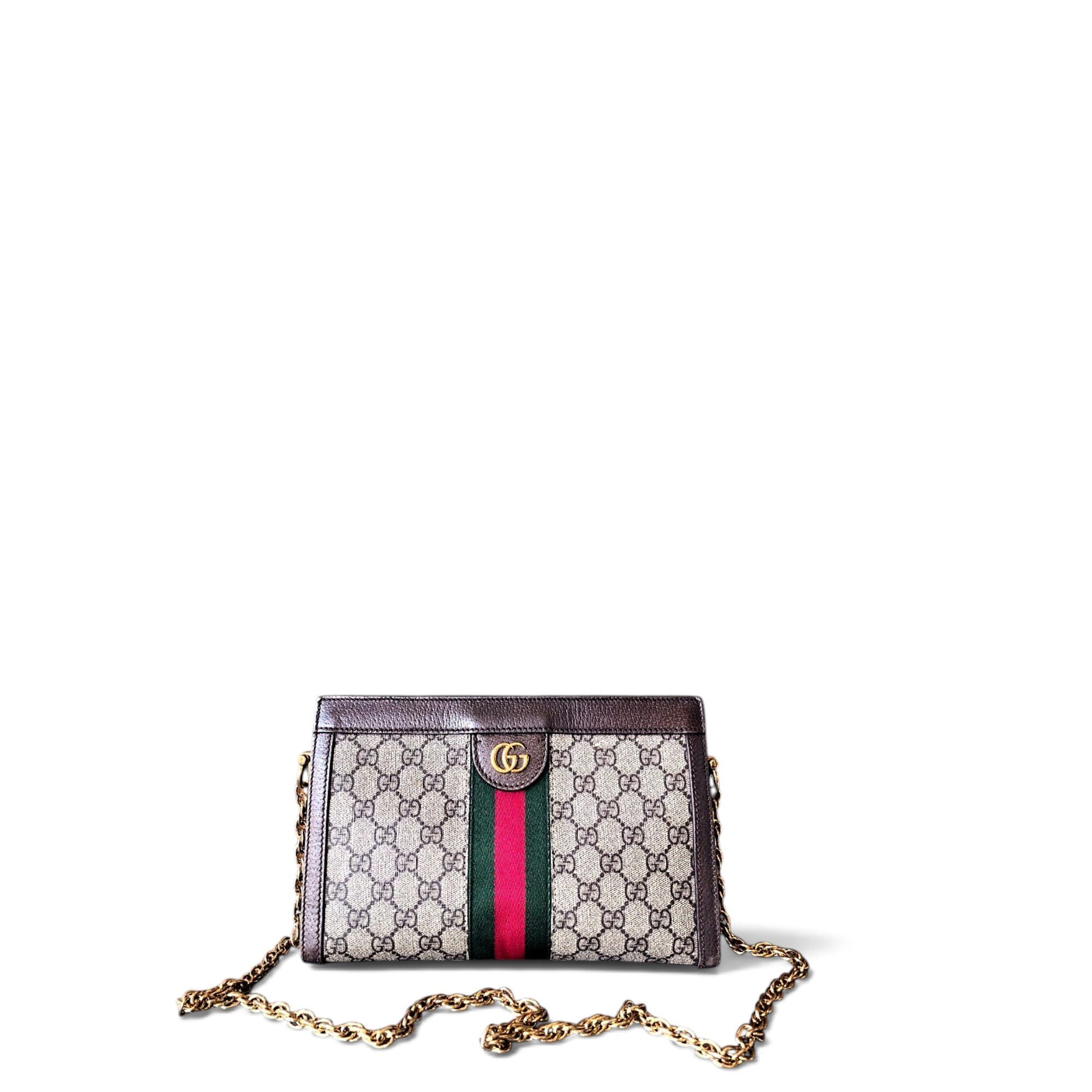 Ophidia Chain leather handbag