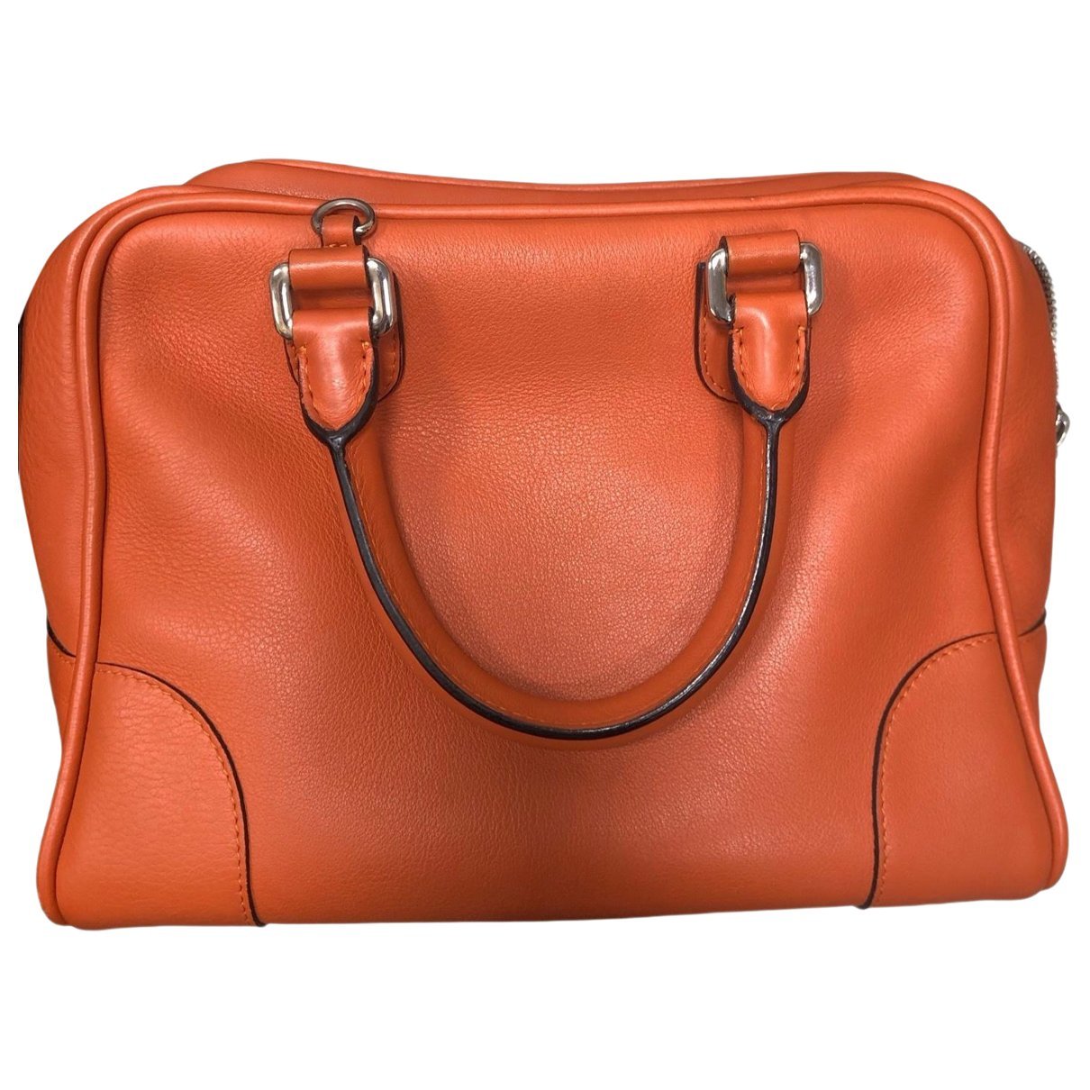 Amazona leather handbag