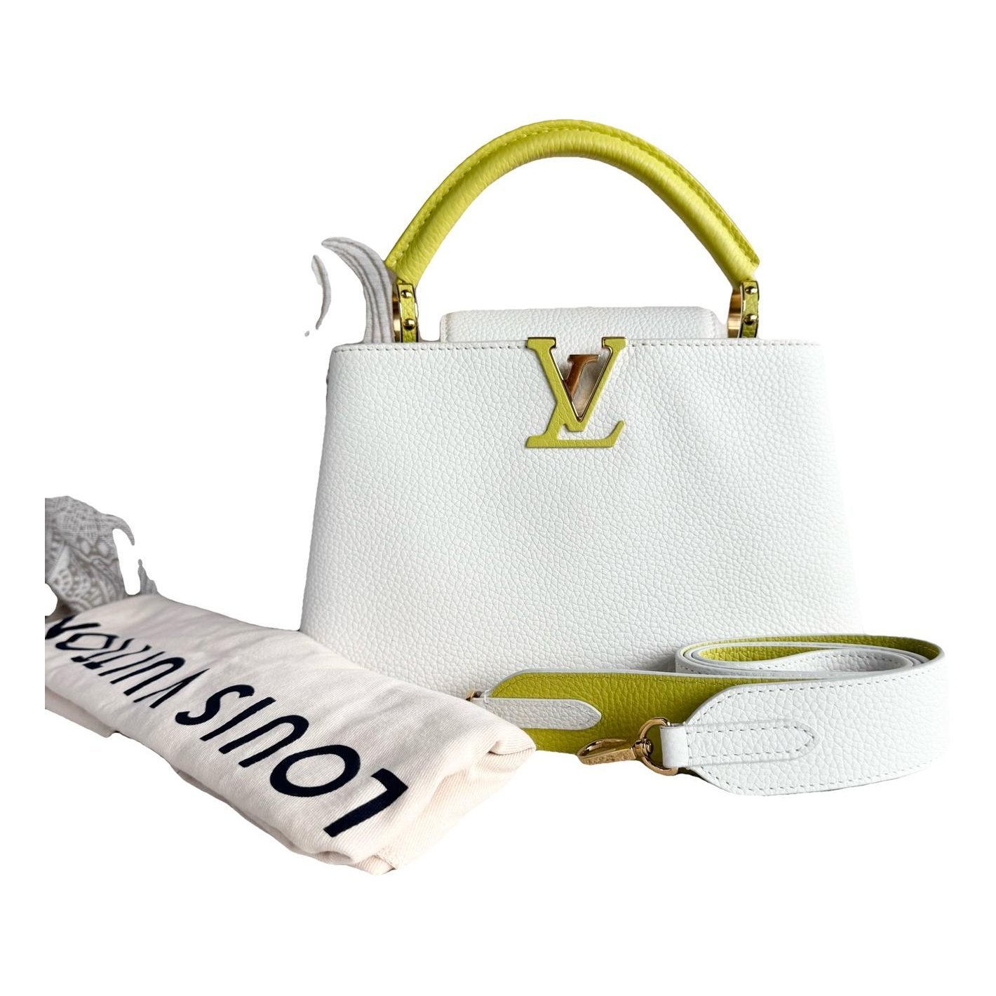 Capucines leather bag